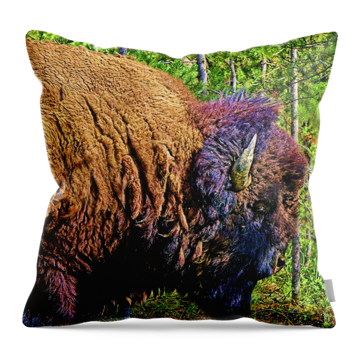 Animal Throw Pillow featuring the digital art Buffalo Illustrated by David Desautel