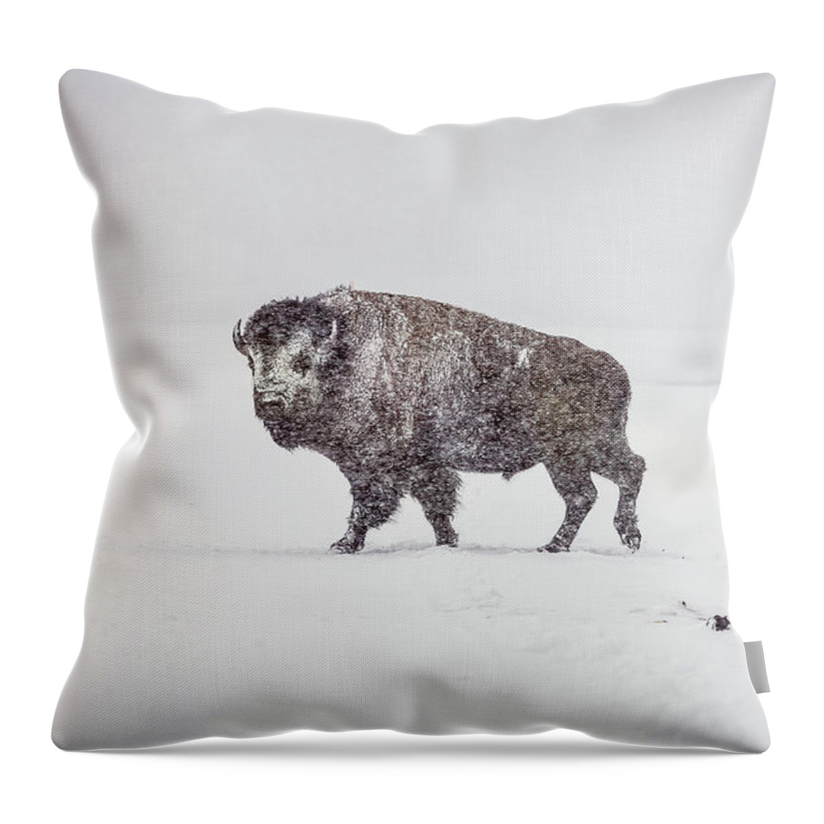 Buffalo Throw Pillow featuring the photograph Buffalo in Yellowstone Winter by Craig J Satterlee