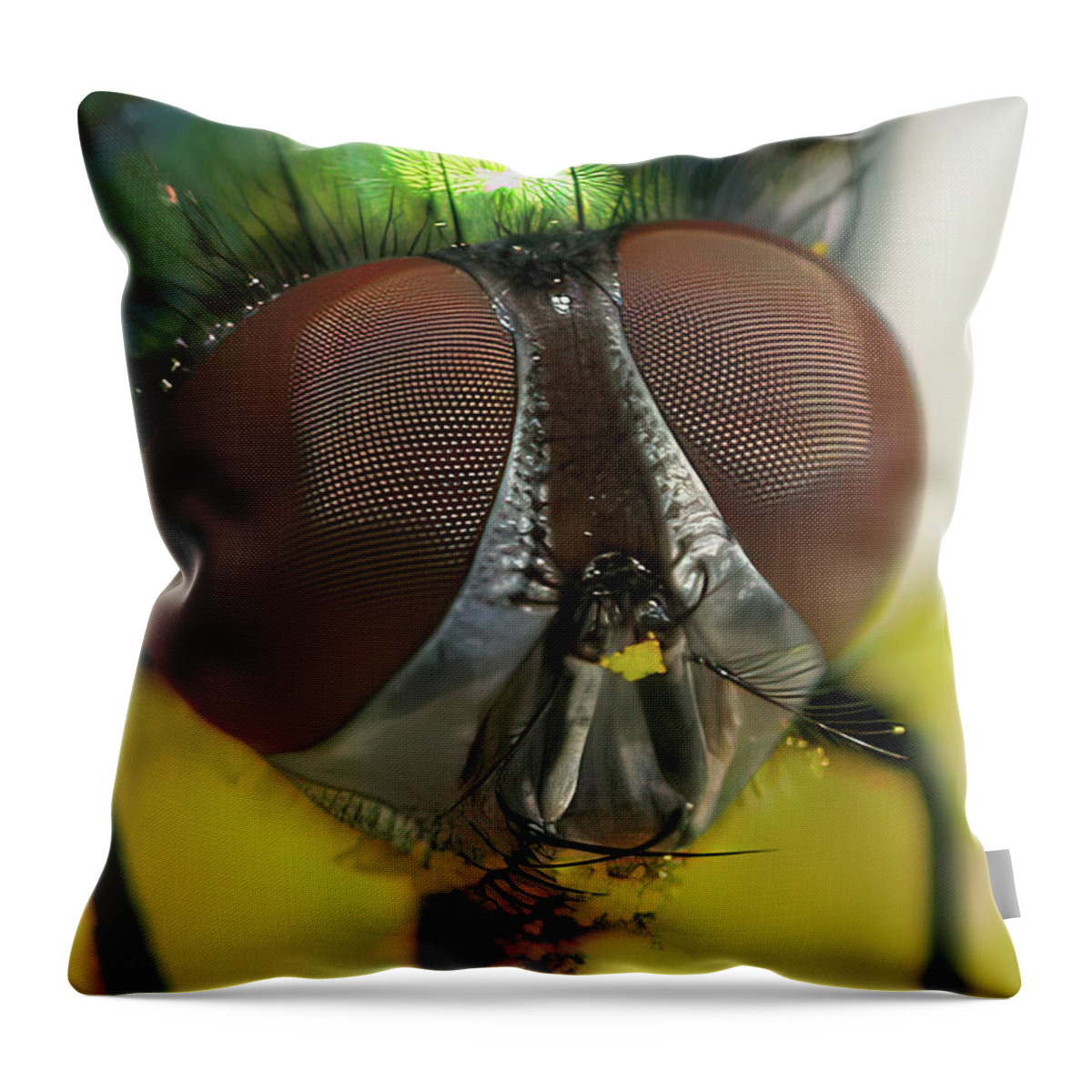 Fly Throw Pillow featuring the photograph Bugged Eyed by Lens Art Photography By Larry Trager