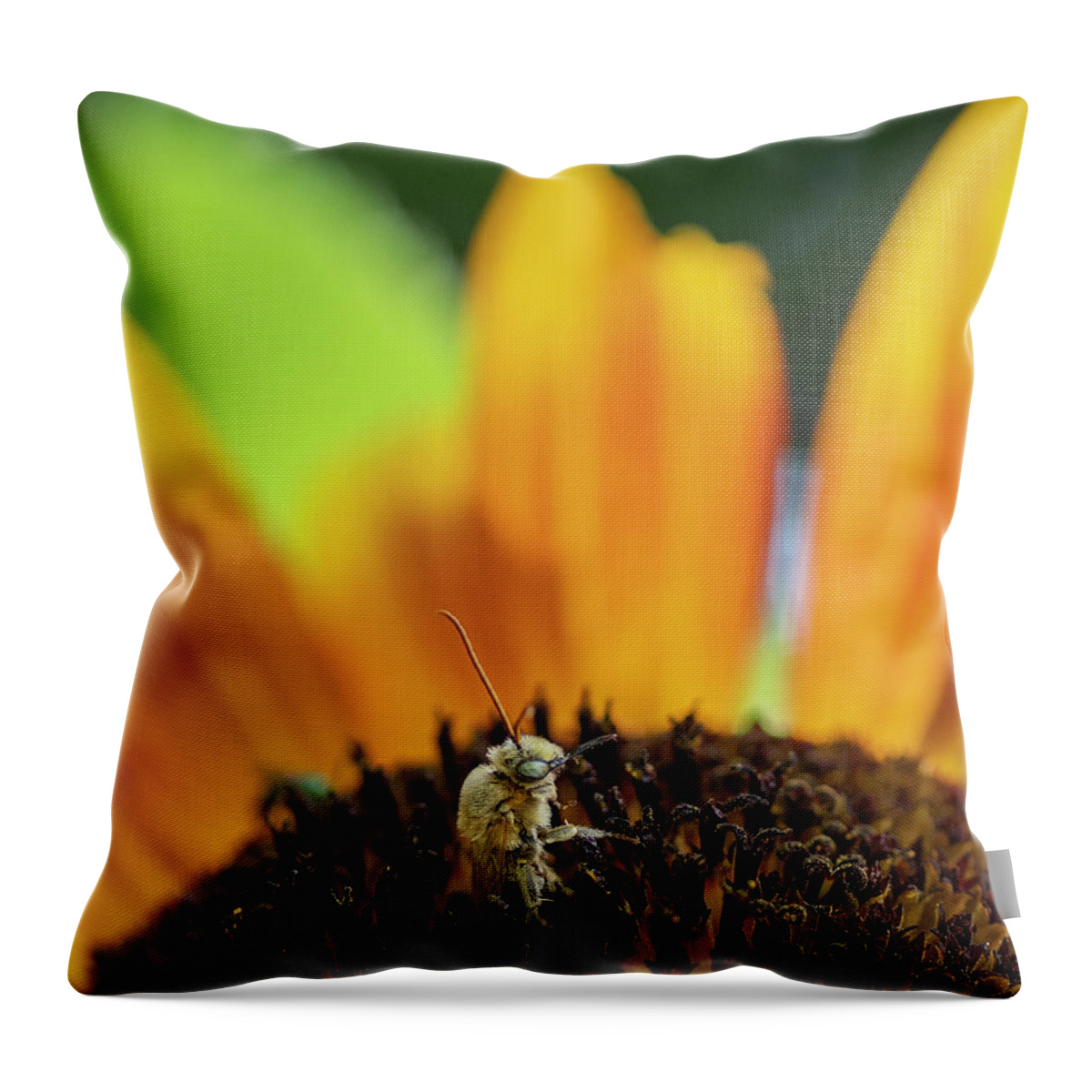 Bumble Bee Throw Pillow featuring the photograph Bumble Bee on Sunflower taking a Break by Sandra Rust