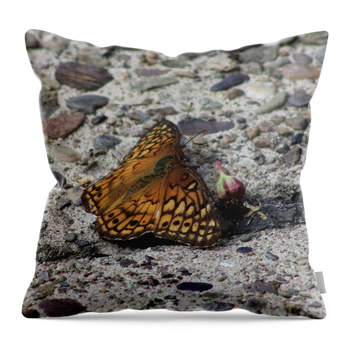 Butterfly Throw Pillow featuring the photograph Butterfly on the Sidewalk by Christopher Reed