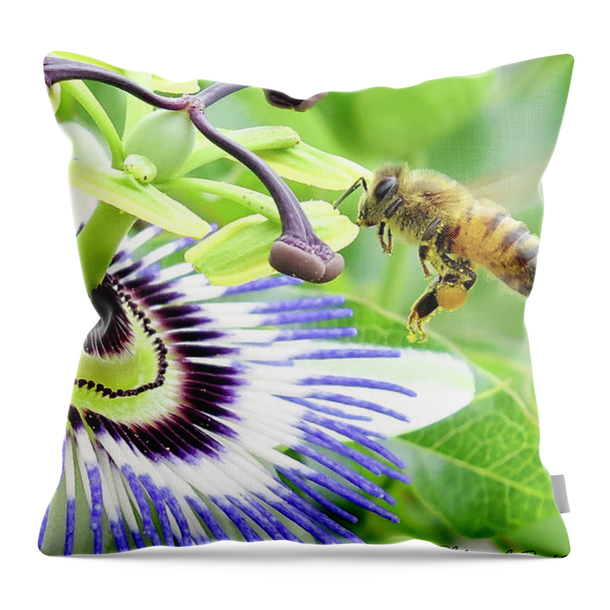 Passion Flower Throw Pillow featuring the digital art Buzzing around 01 by Kevin Chippindall