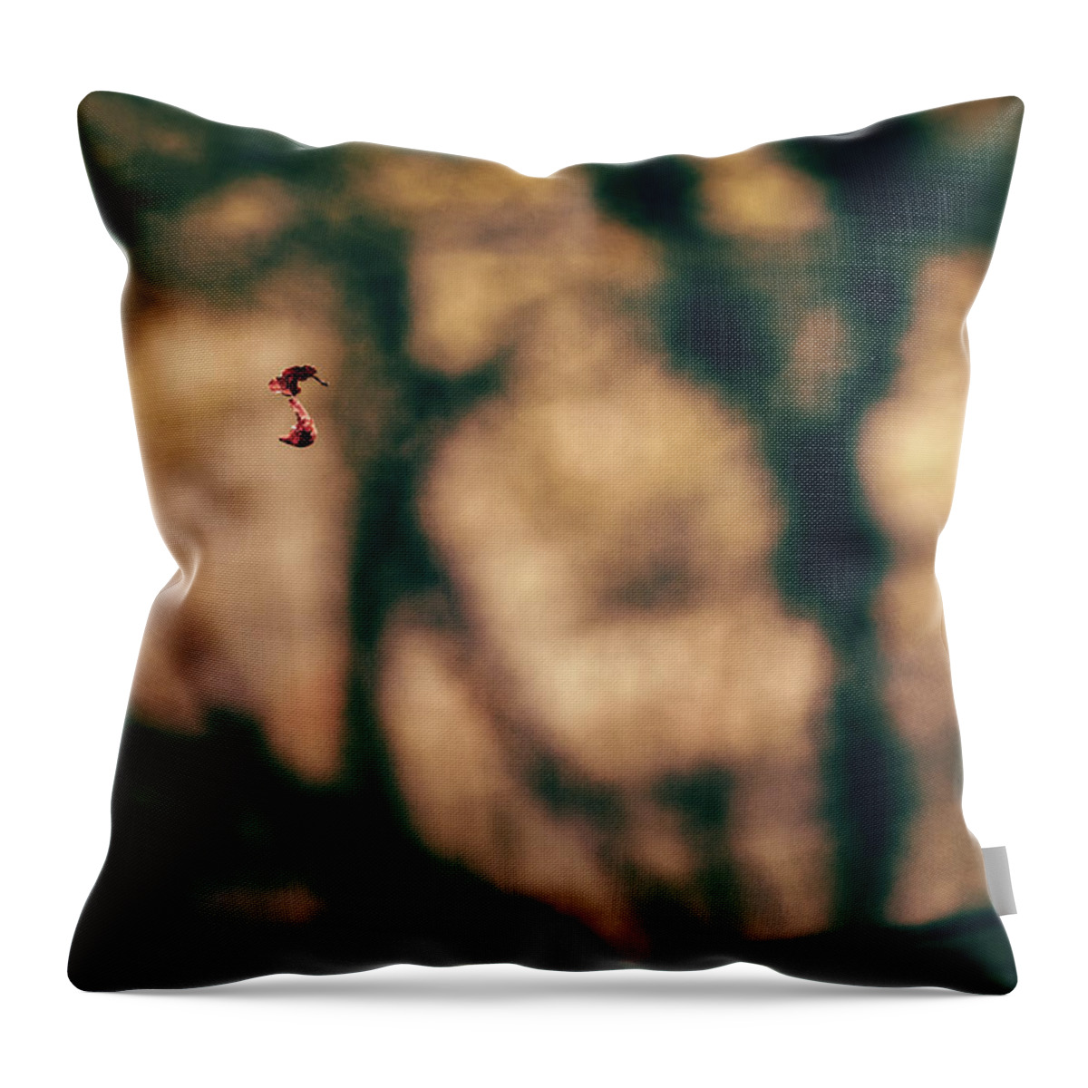 Forest Throw Pillow featuring the photograph By a thread by Gavin Lewis