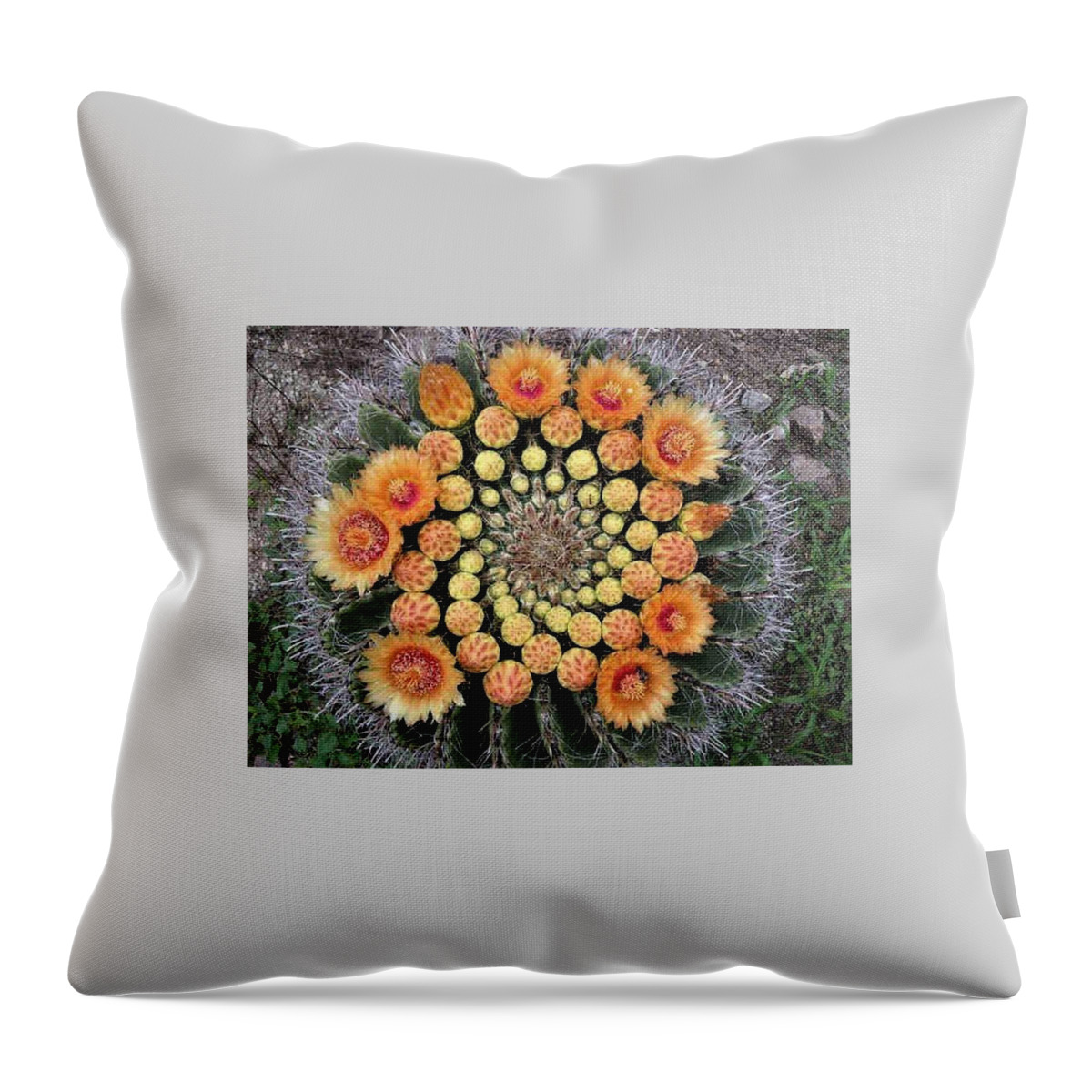 Cactus Throw Pillow featuring the photograph Cactus Mandala by Nancy Ayanna Wyatt