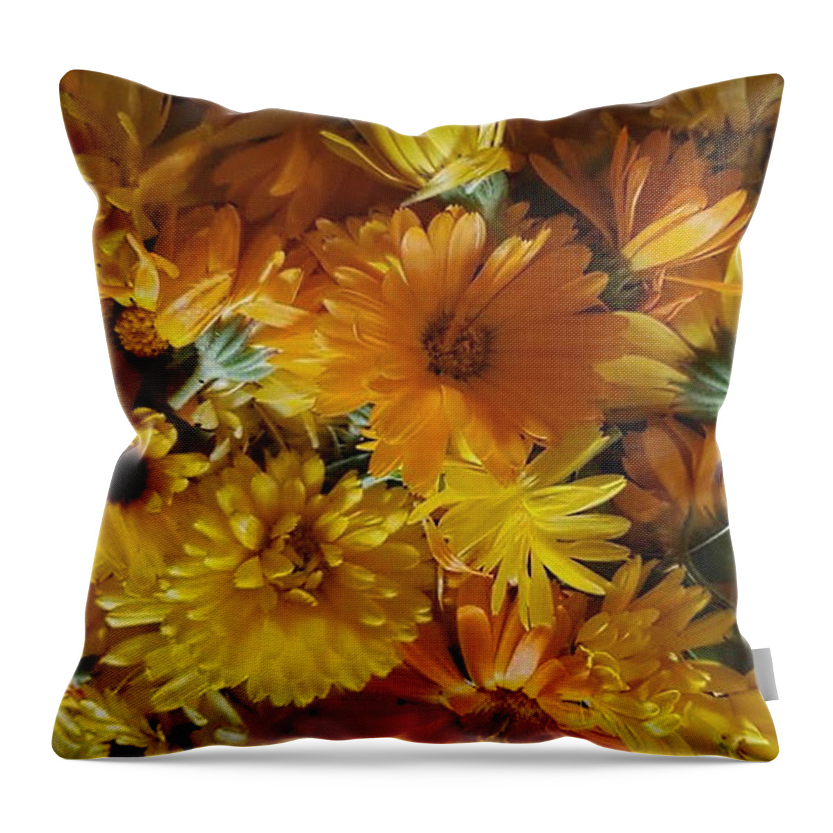 Orange Throw Pillow featuring the photograph Calendula Blossom Sunrise by Vicki Noble