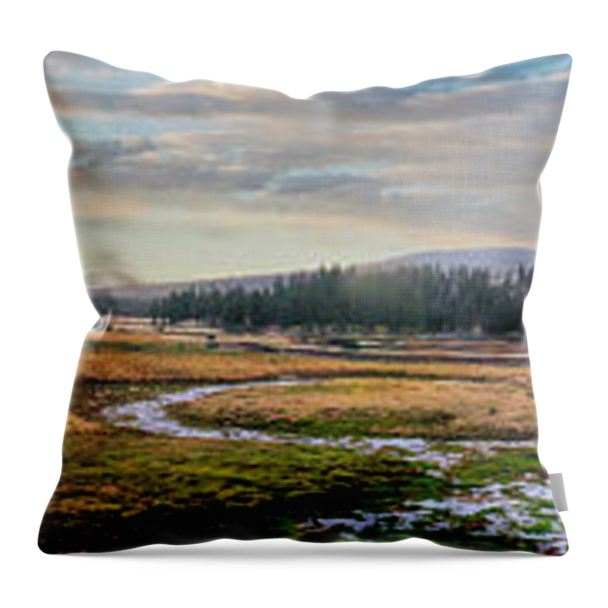 California Throw Pillow featuring the photograph California Mountains Tioga Meadow Stream panorama by Dan Carmichael