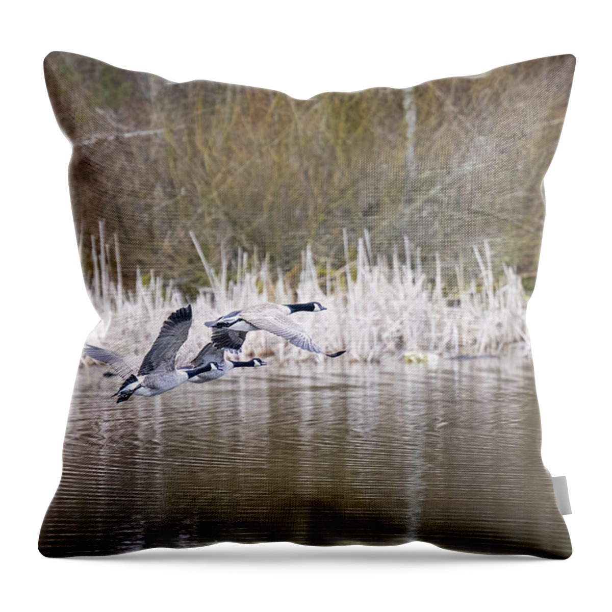 Geese Throw Pillow featuring the photograph Canada Geese by Jerry Cahill