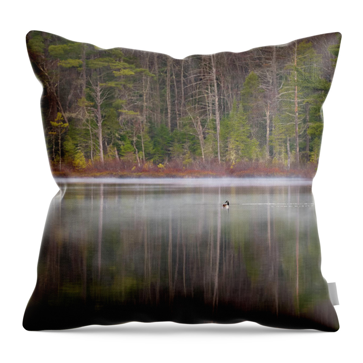 Nature Throw Pillow featuring the photograph Canada Goose on a Misty Swift River Morning by William Dickman