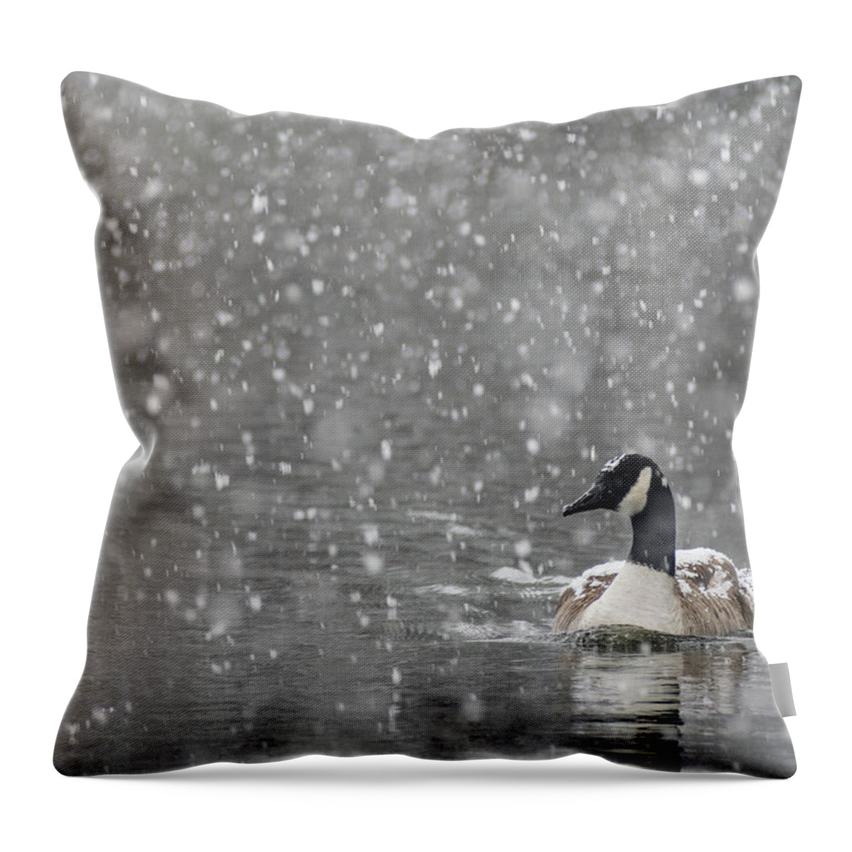 North America Throw Pillow featuring the photograph Canadian Goose in Snow 2 by Melissa Southern