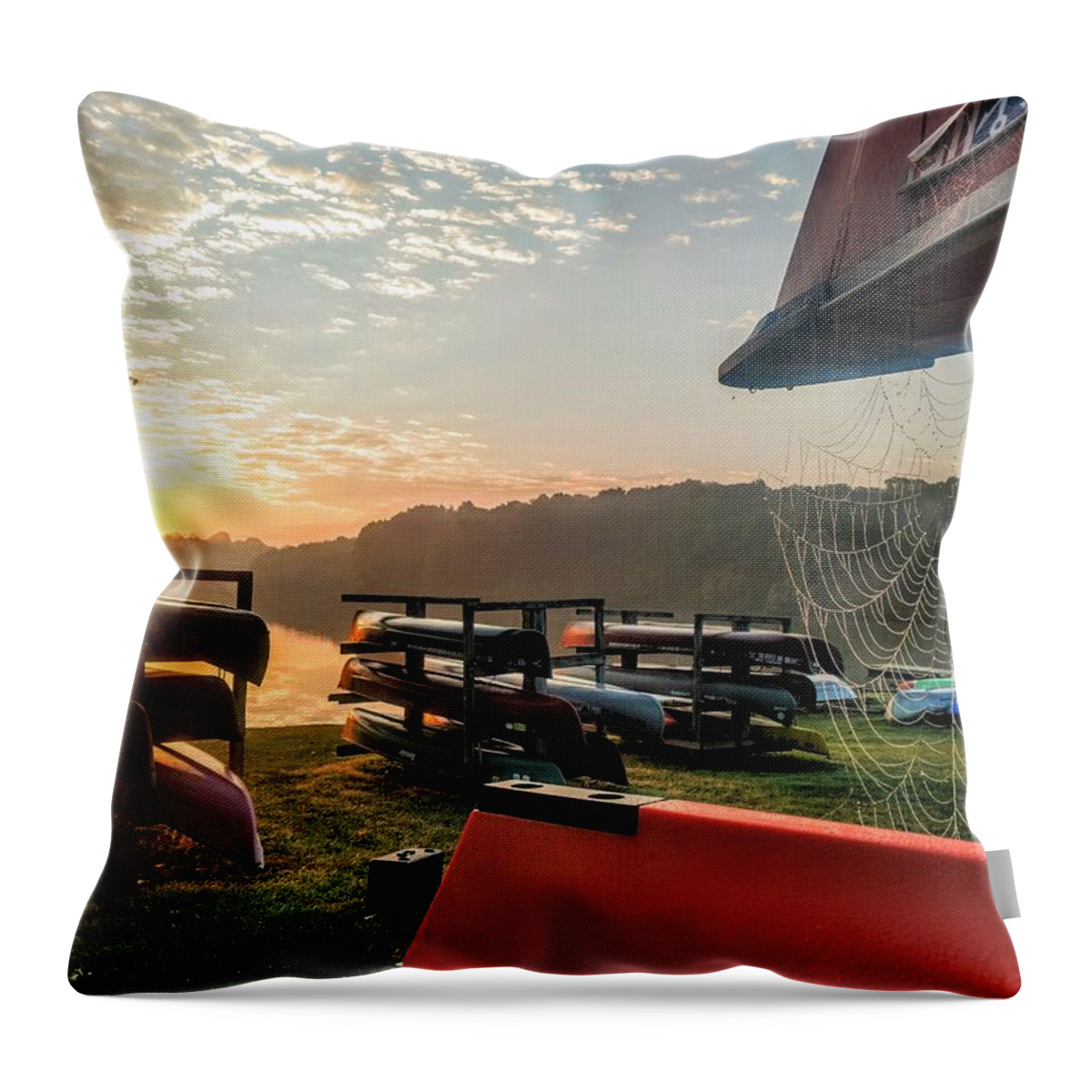  Throw Pillow featuring the photograph Canoes and Spiders at Dawn by Brad Nellis