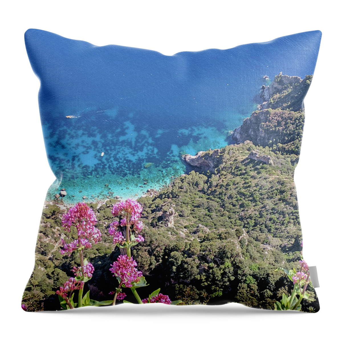 Capri Throw Pillow featuring the photograph Capri, sea and flowers by Yvonne Jasinski