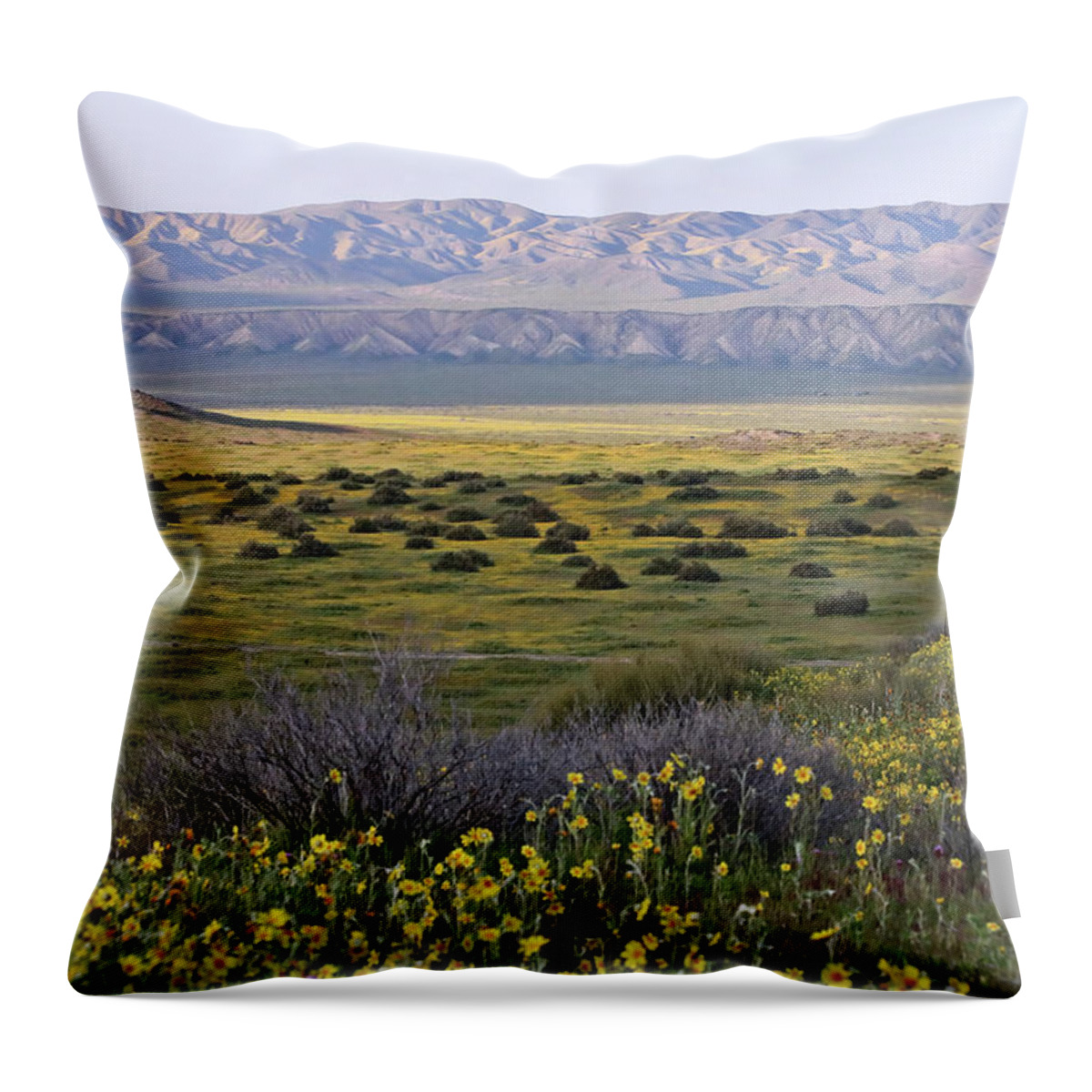  Throw Pillow featuring the photograph Carrizo Plain National Monument #1 by Carla Brennan