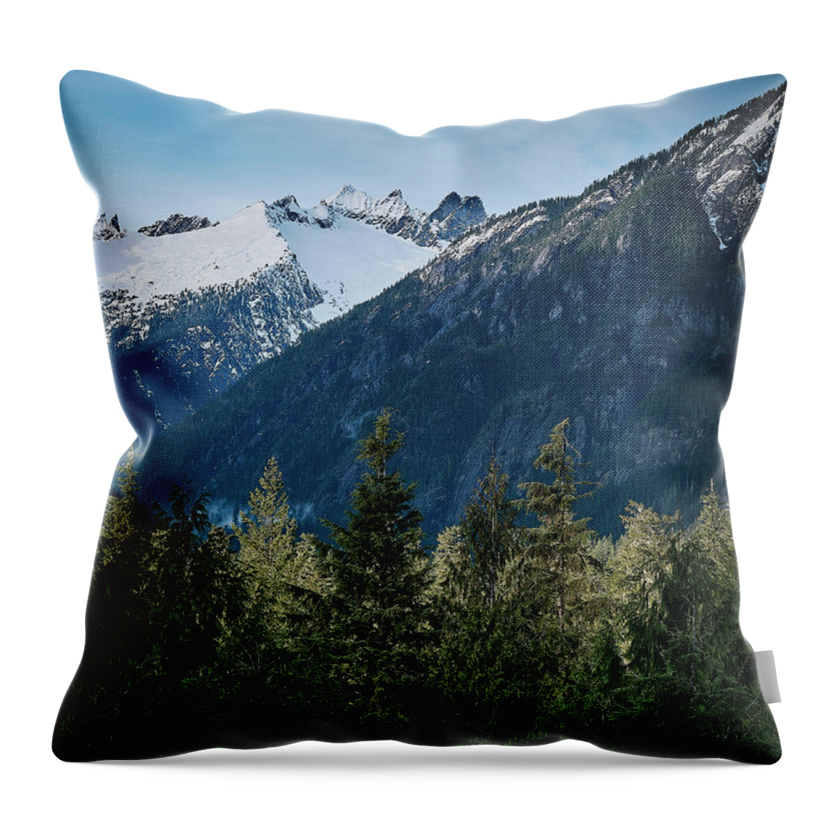 Snow Capped Throw Pillow featuring the photograph Cascade View by Jermaine Beckley