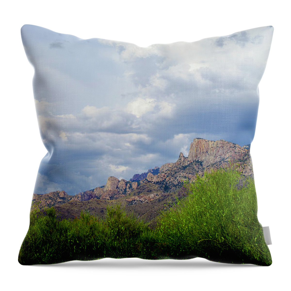 Arizona Throw Pillow featuring the photograph Catalina Monsoon 25108 by Mark Myhaver
