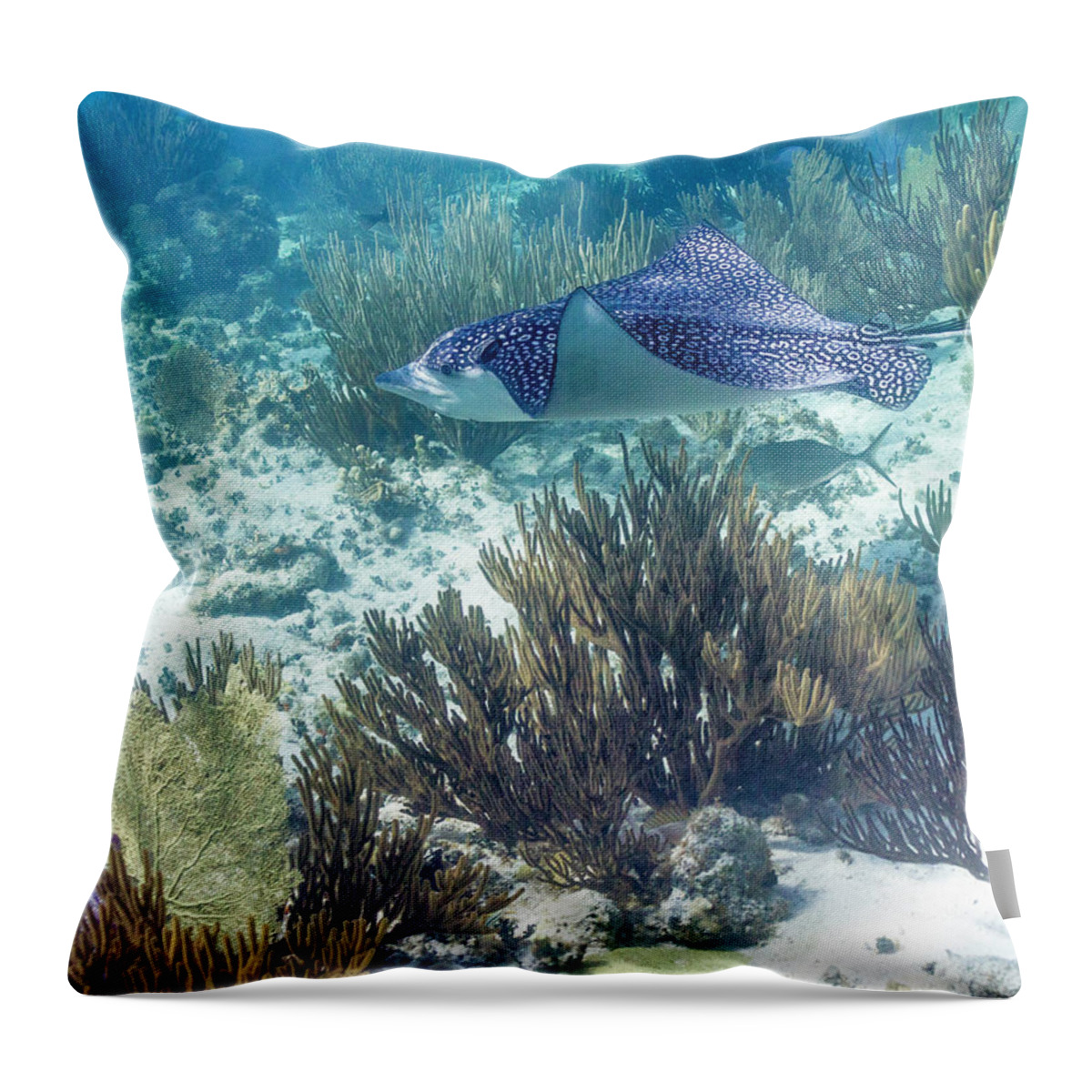 Grand Cayman Throw Pillow featuring the photograph Catch Me If You Can by Lynne Browne
