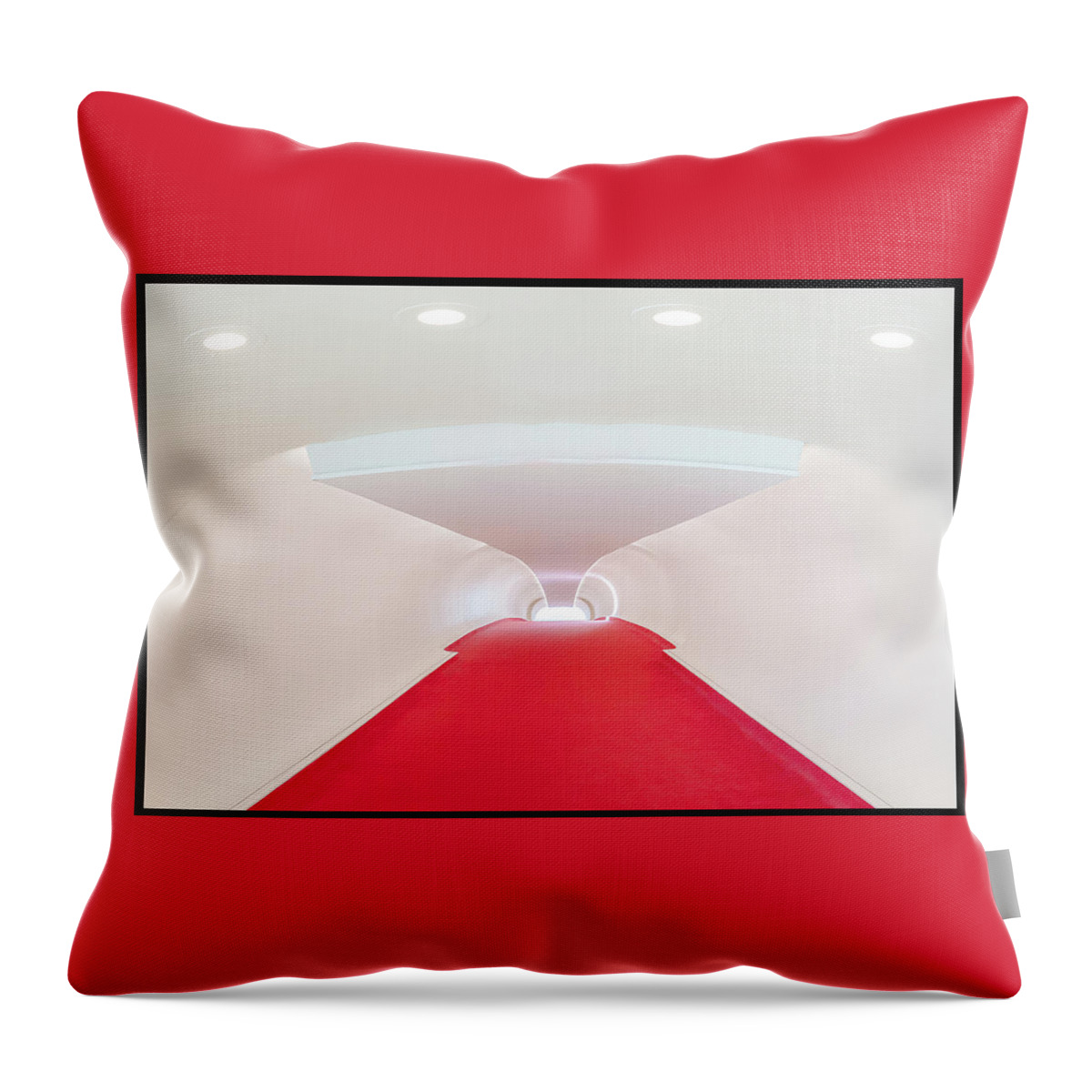 Twa Throw Pillow featuring the photograph Catch Me If You Can by Sylvia Goldkranz