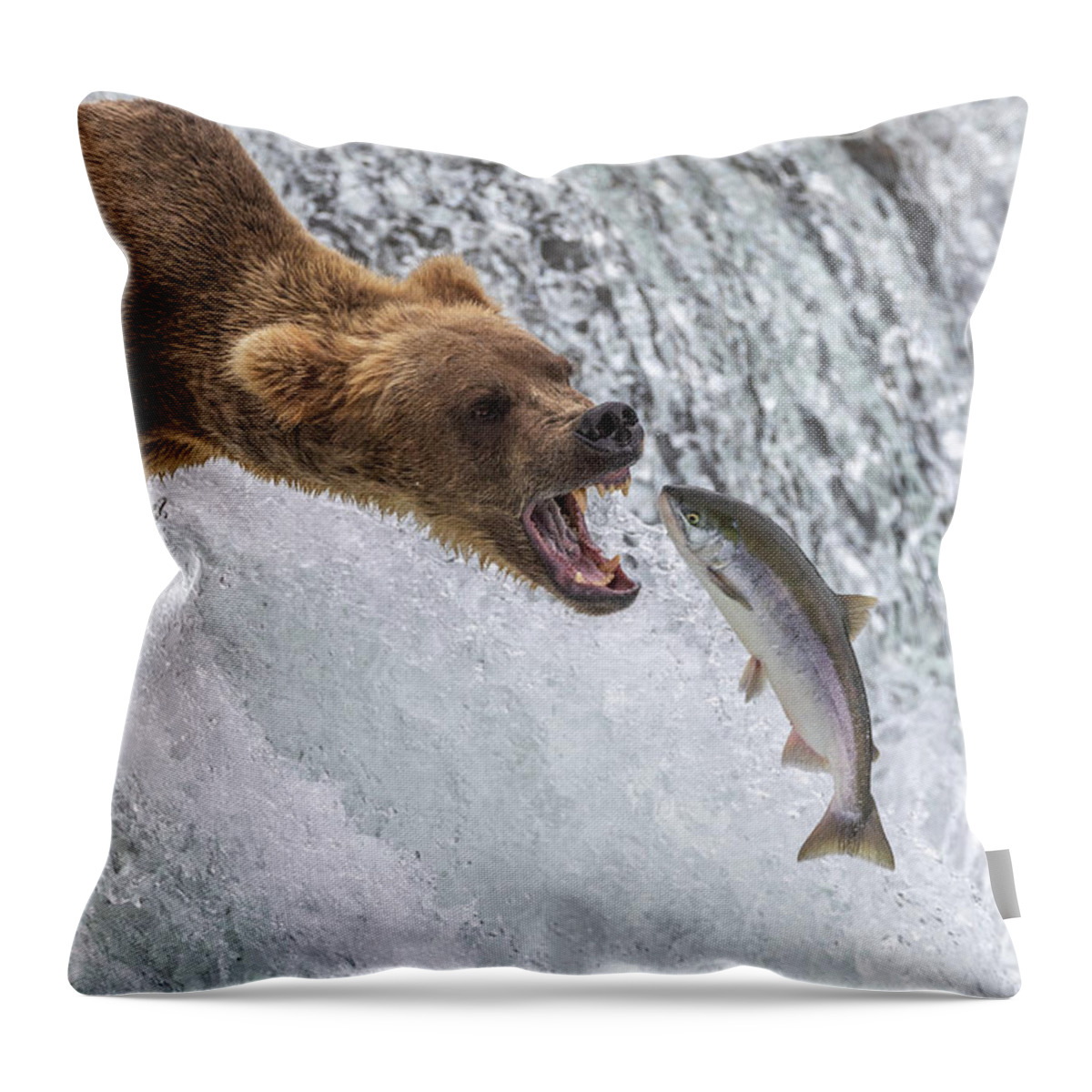 Grizzly Throw Pillow featuring the photograph Catch of the Day by Randy Robbins