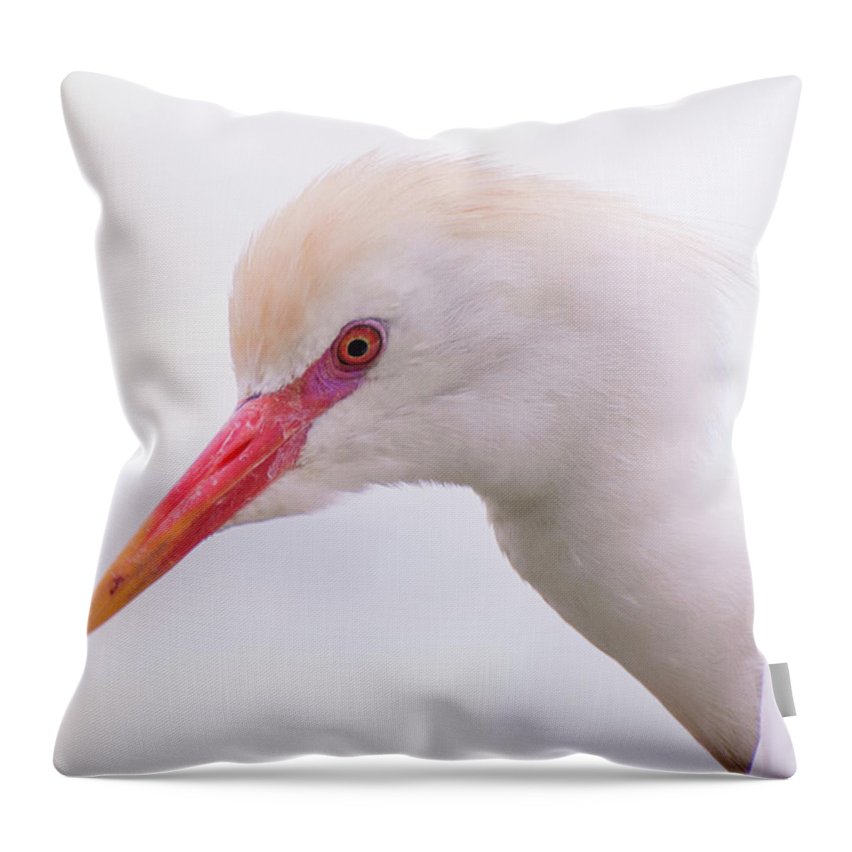 Cattle Throw Pillow featuring the photograph Cattle Egret by Carolyn Hutchins