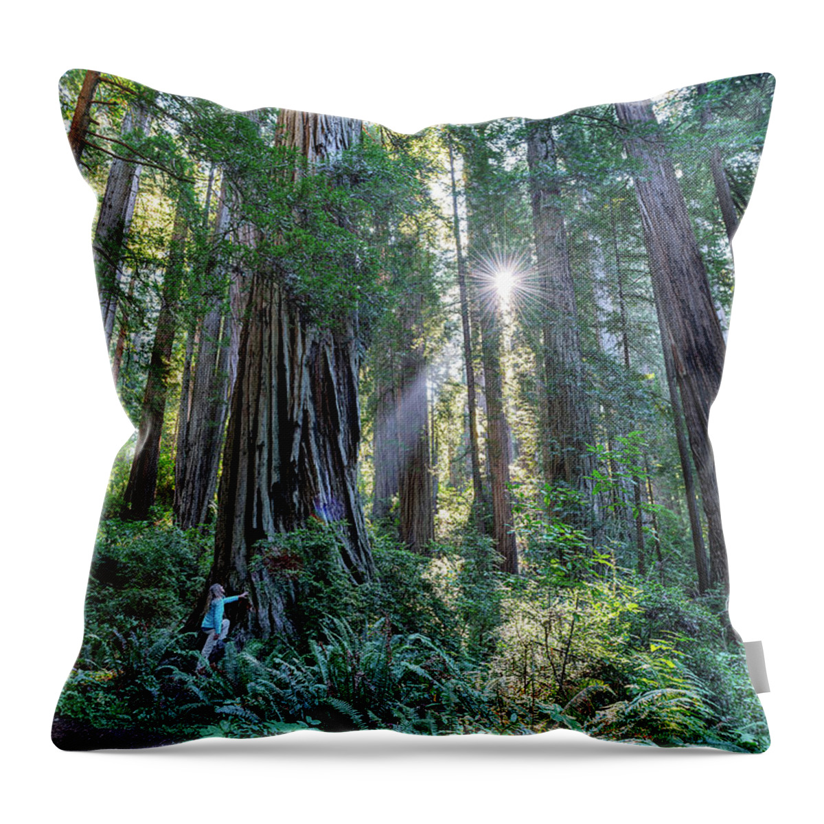 California Throw Pillow featuring the photograph Chasing the light by Rudy Wilms
