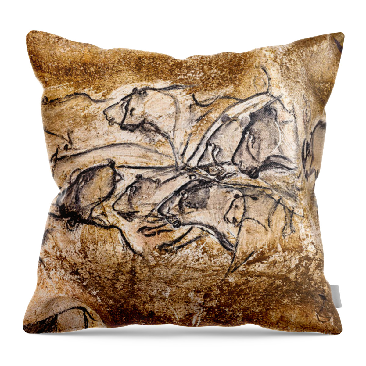 Chauvet Throw Pillow featuring the photograph Chauvet Lions and Bison by Weston Westmoreland