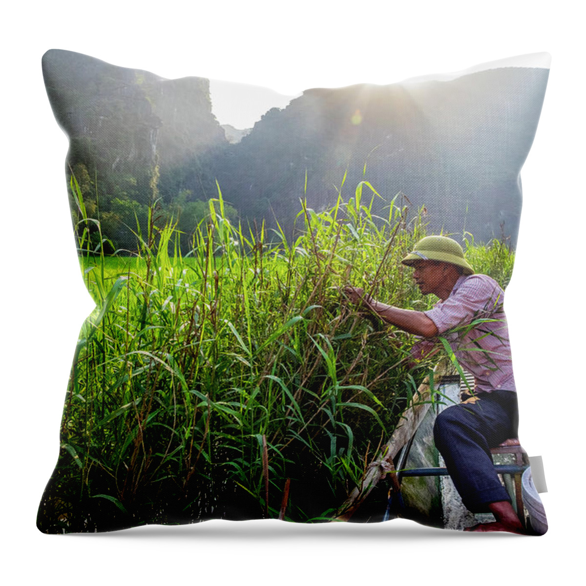 Ba Giot Throw Pillow featuring the photograph Checking Bird's Nest by Arj Munoz