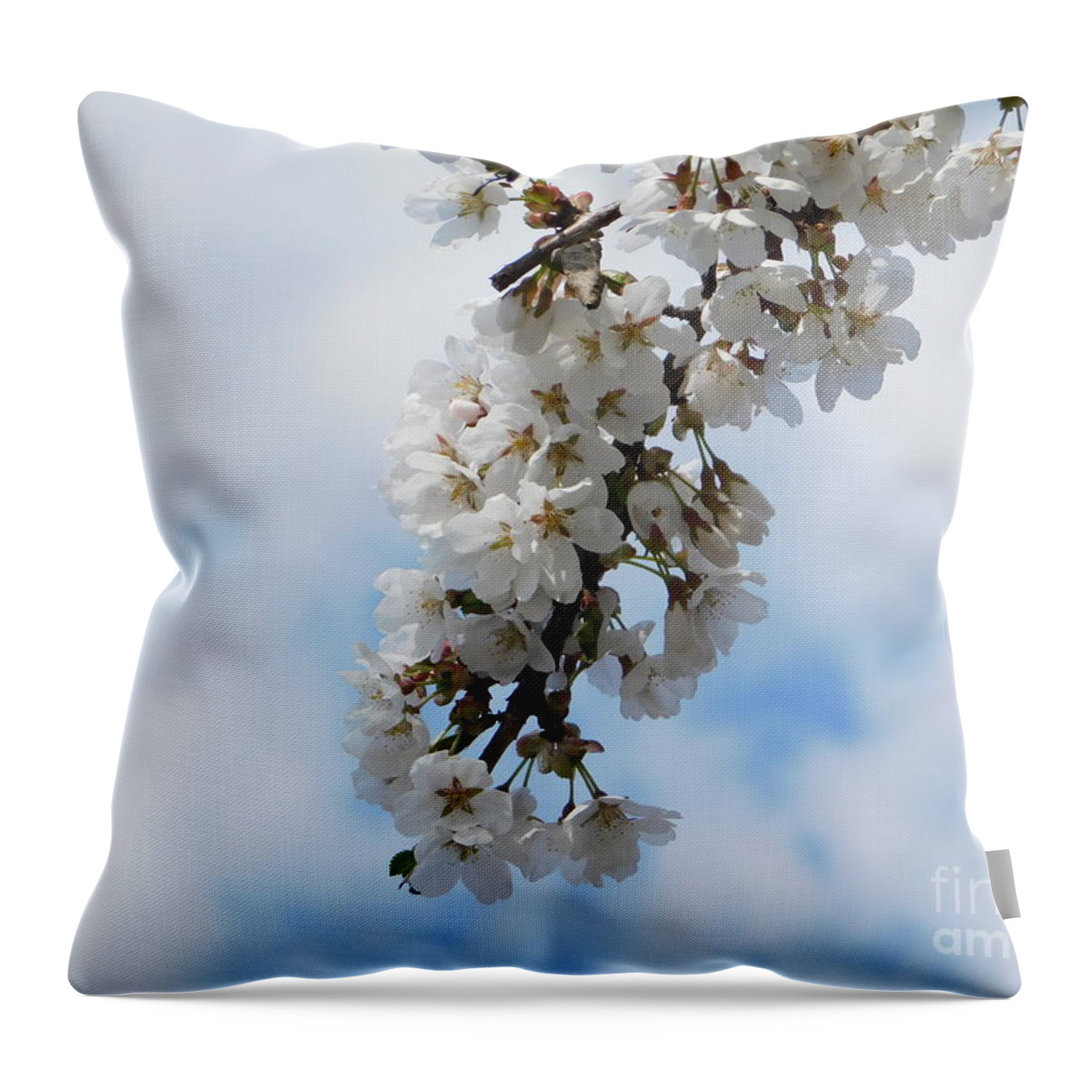Cherry Blossoms Throw Pillow featuring the photograph Come Nuvole by Stefania Caracciolo