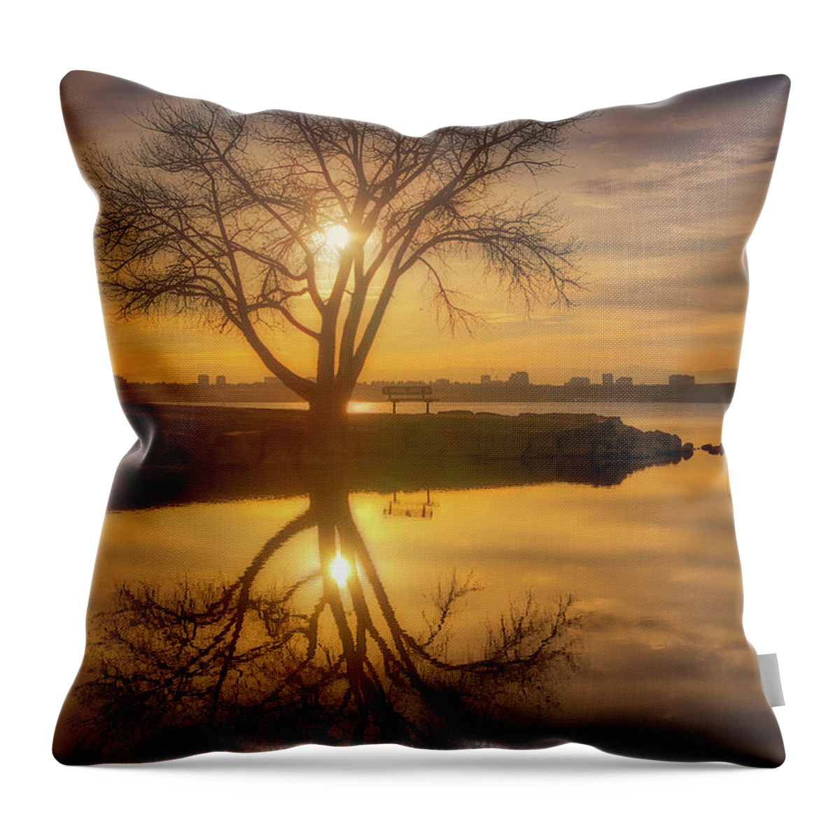 Trees Throw Pillow featuring the photograph Cherry Creek Sunset by Darren White