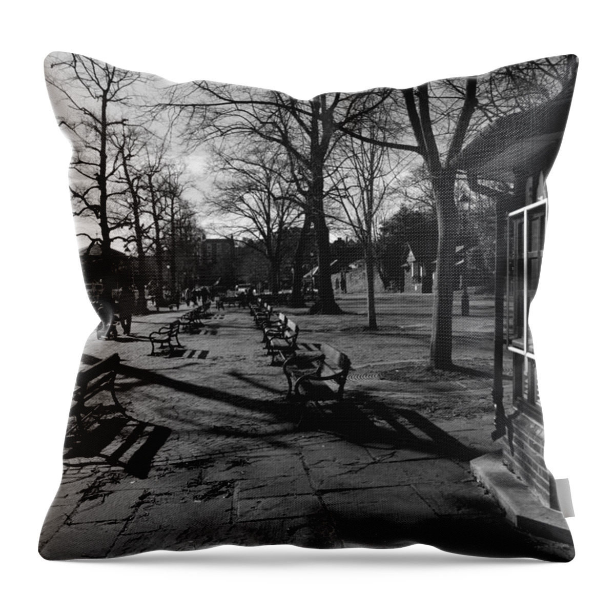 Cheshire Throw Pillow featuring the photograph CHESTER. The Groves. Benches. by Lachlan Main