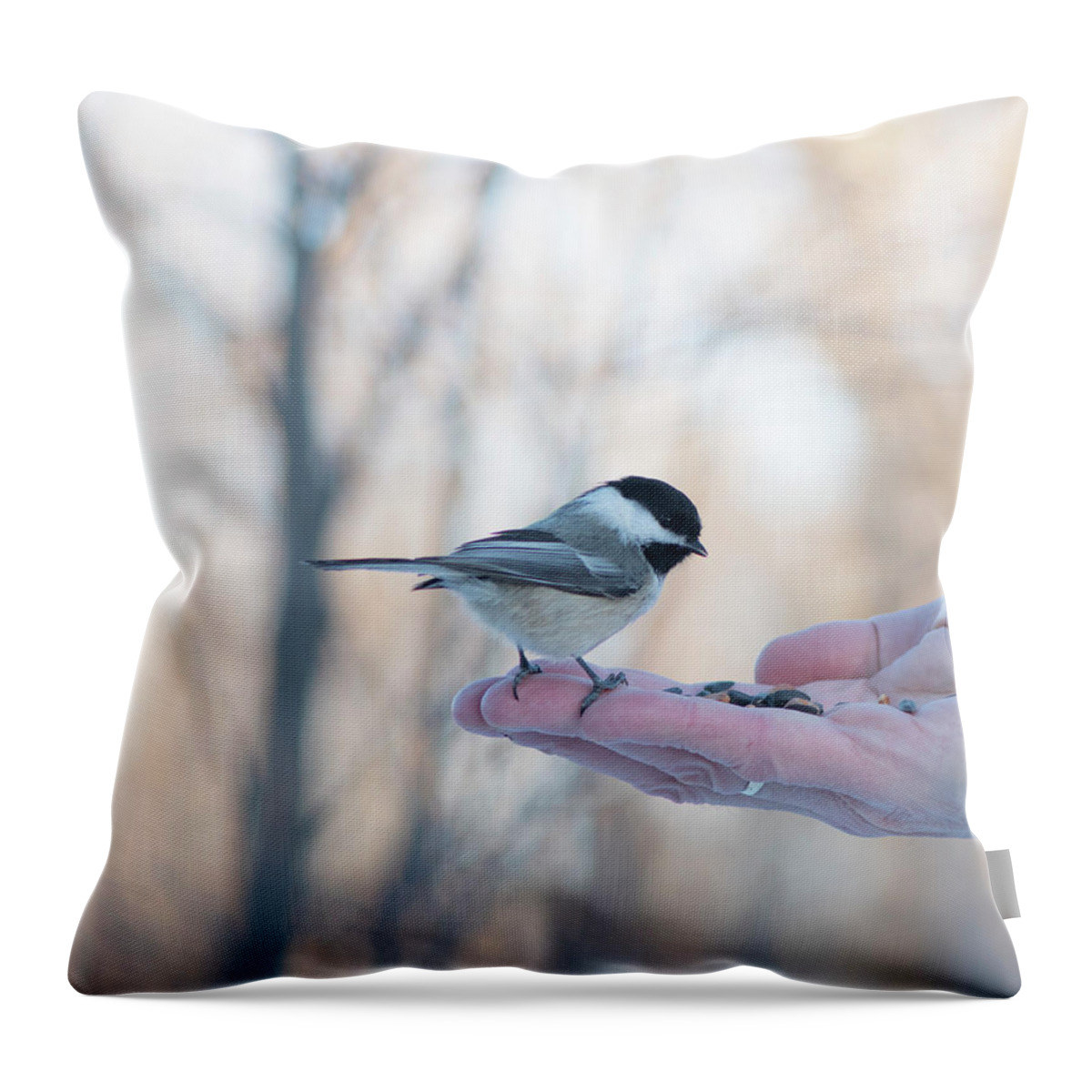 Chickadee Throw Pillow featuring the photograph Chickadee On Hand by Karen Rispin