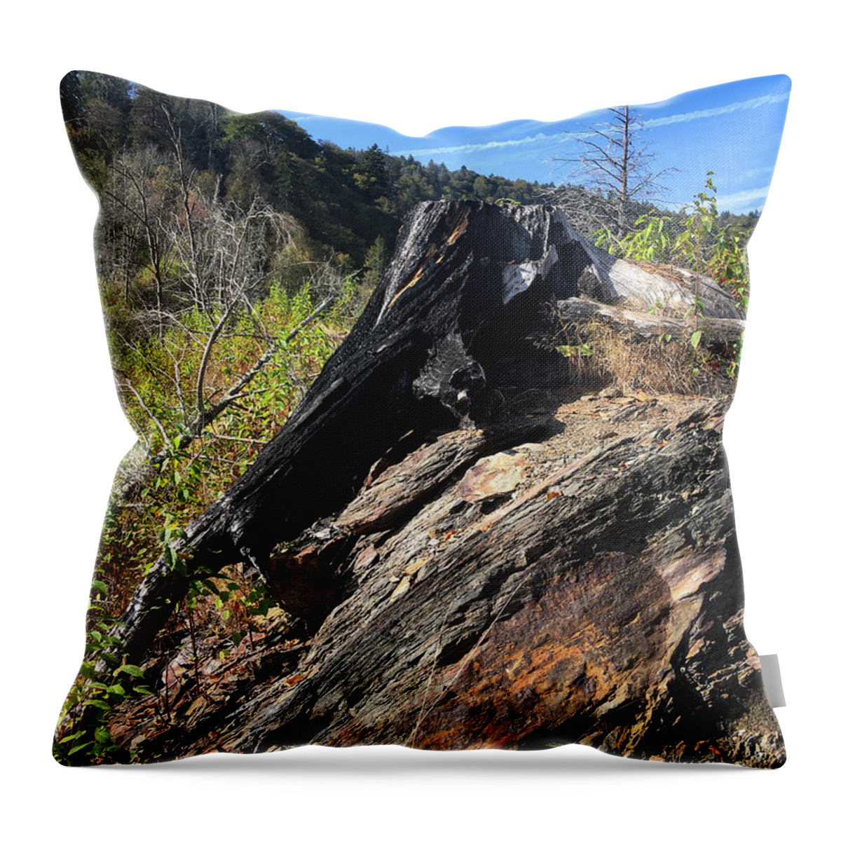 Chimney Tops Throw Pillow featuring the photograph Chimney Tops 20 by Phil Perkins