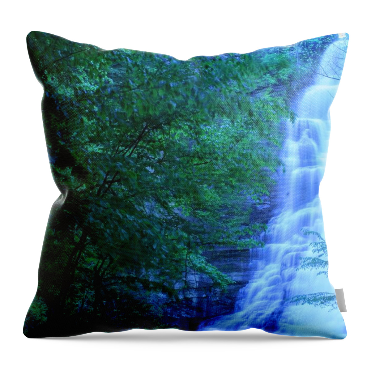  Throw Pillow featuring the photograph Chittenango Falls by Brad Nellis