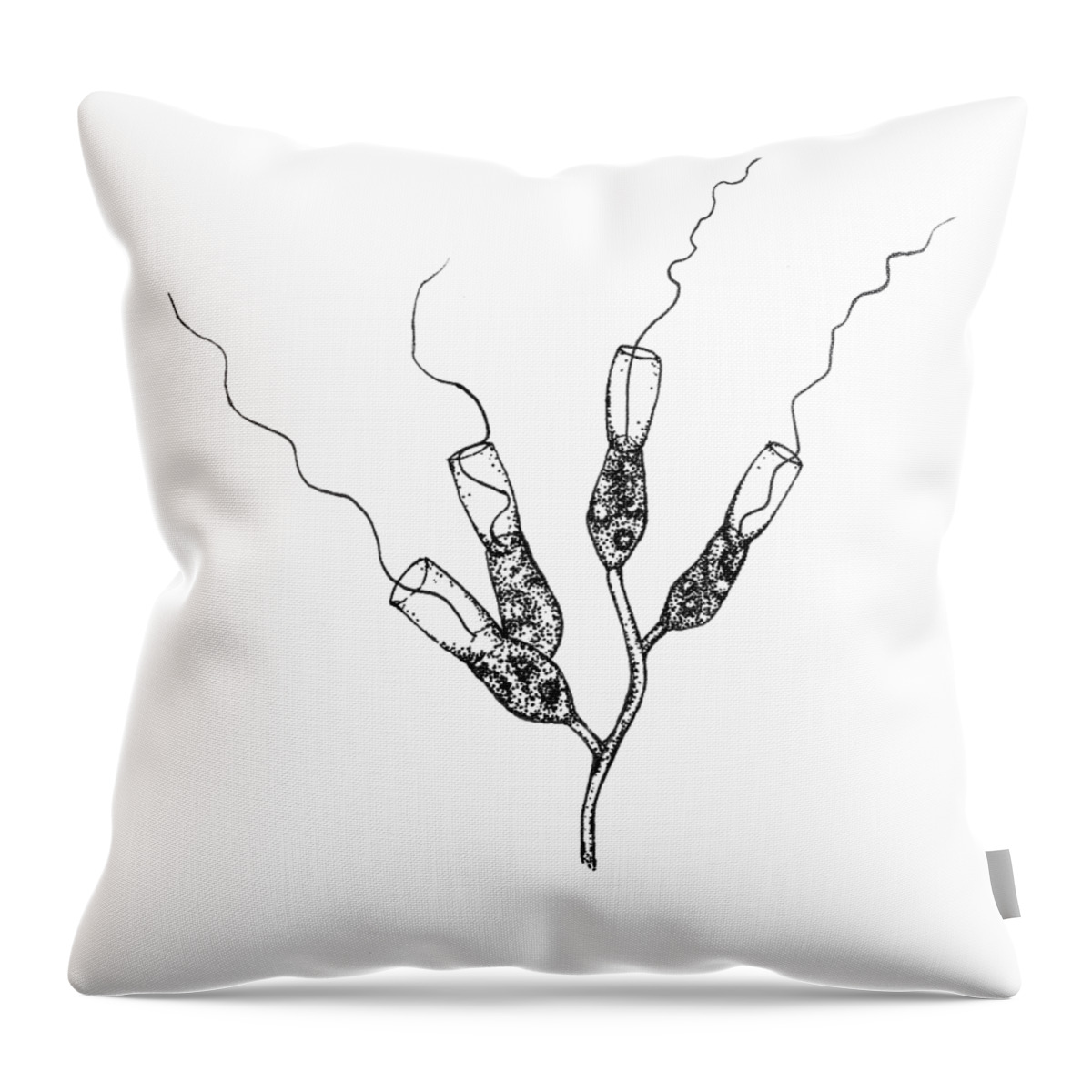 Protozoa Throw Pillow featuring the drawing Choanoflagellates by Kate Solbakk