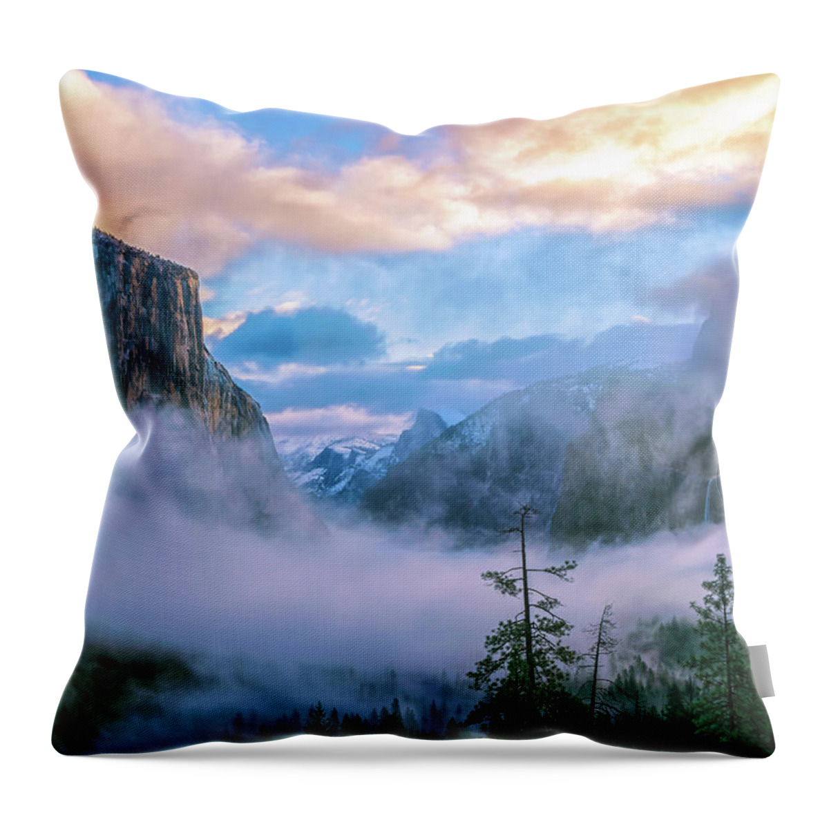 Yosemite National Park Throw Pillow featuring the photograph Circle Of Life by Jonathan Nguyen