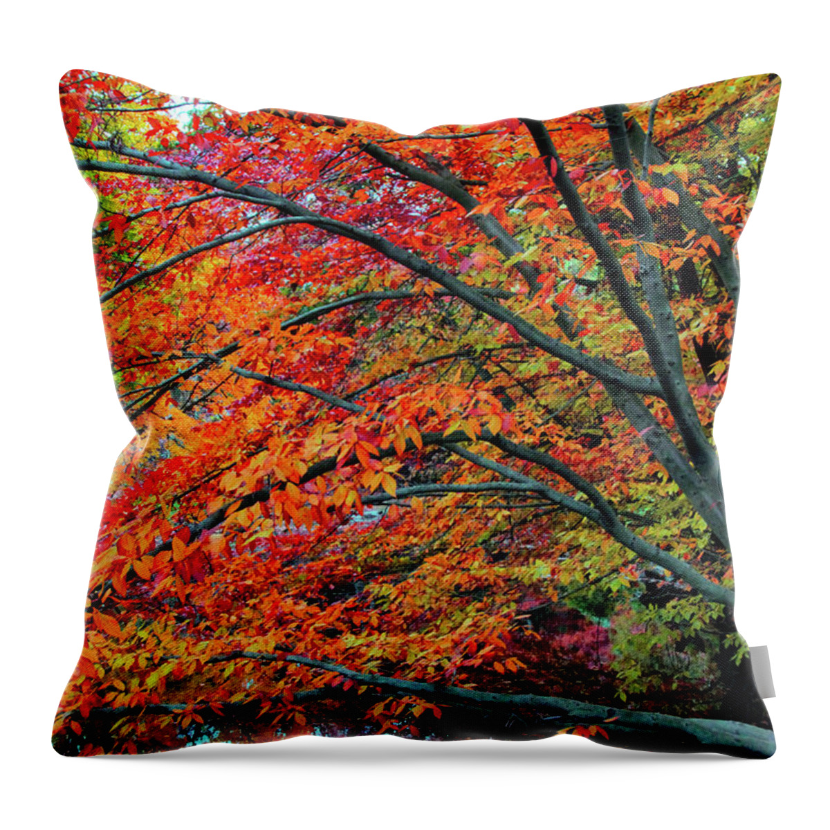 Autumn Throw Pillow featuring the photograph Flickering Foliage by Jessica Jenney