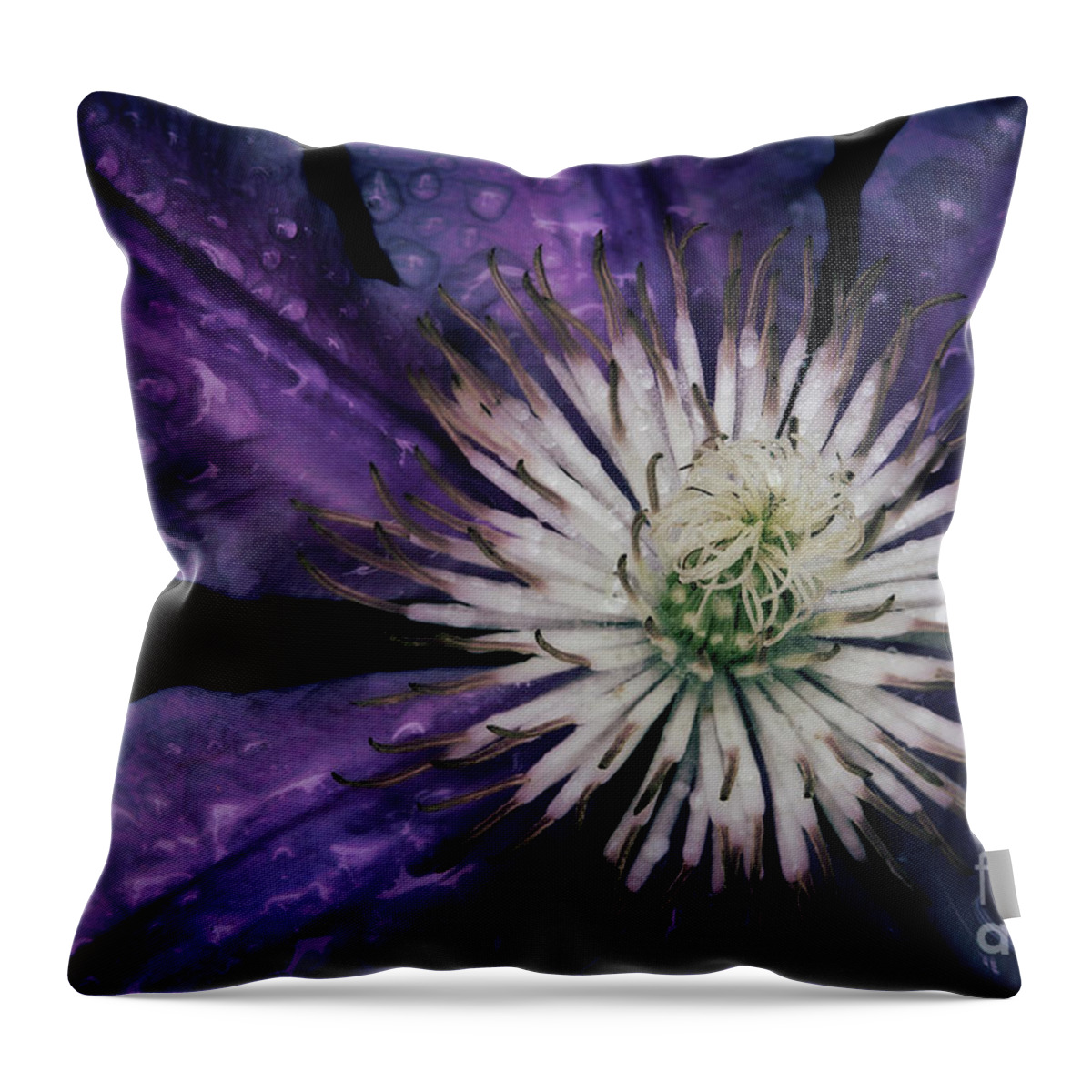 Fine Art Photography Throw Pillow featuring the photograph Clematis #1 by John Strong