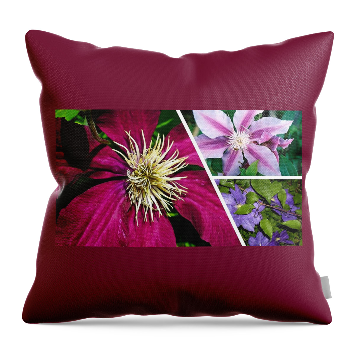 Clematis Throw Pillow featuring the photograph Clematis Blossoms by Nancy Ayanna Wyatt