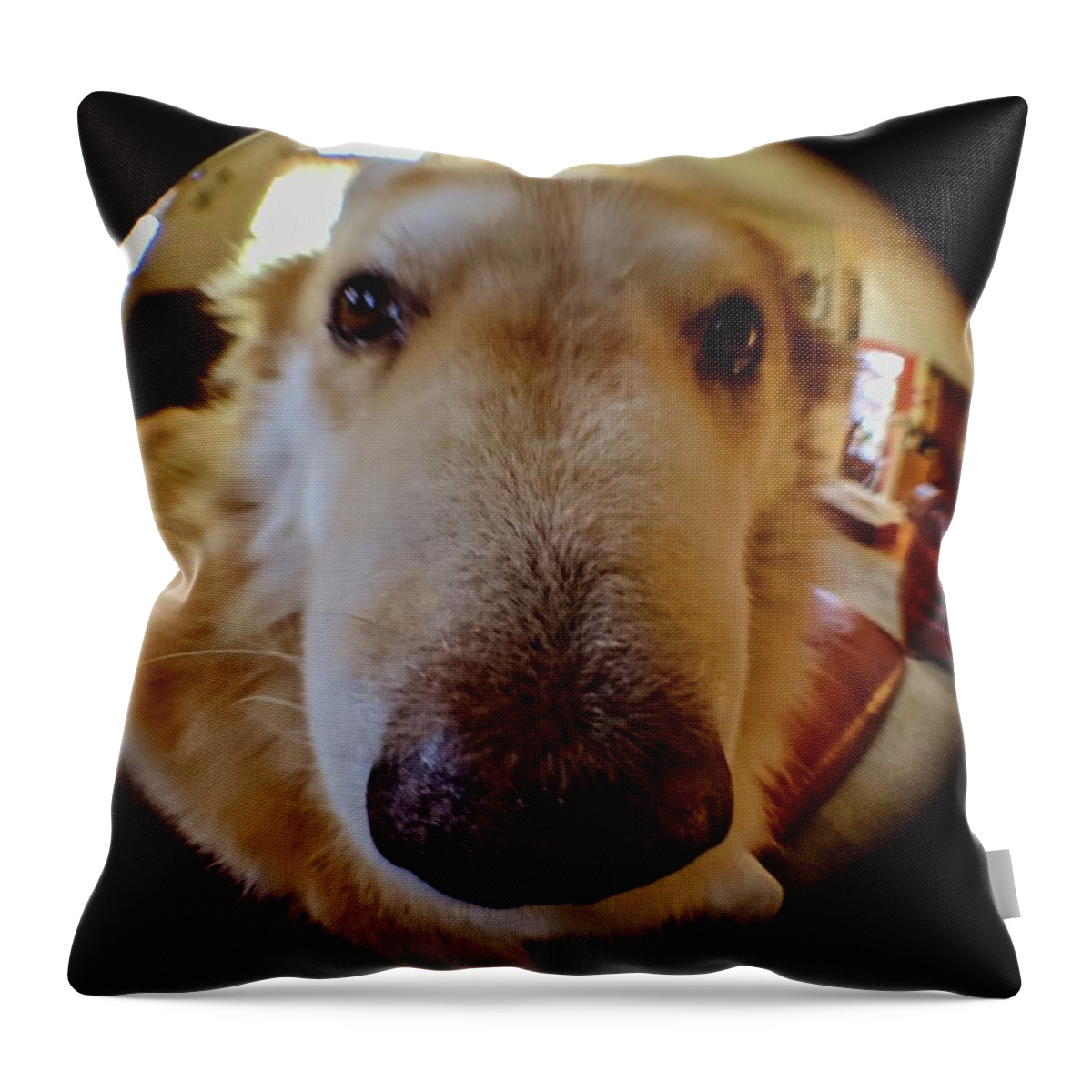  Throw Pillow featuring the photograph Close In Doggy by Brad Nellis