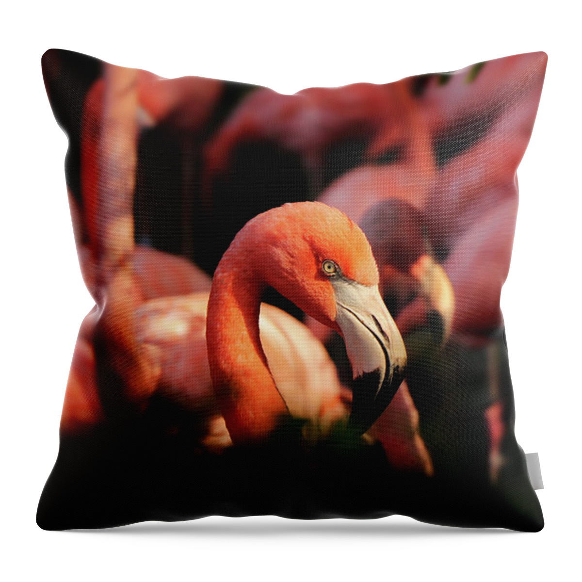 American Flamingo Throw Pillow featuring the photograph Head american flamingo, Phoenicopterus ruber, from bushes by Vaclav Sonnek