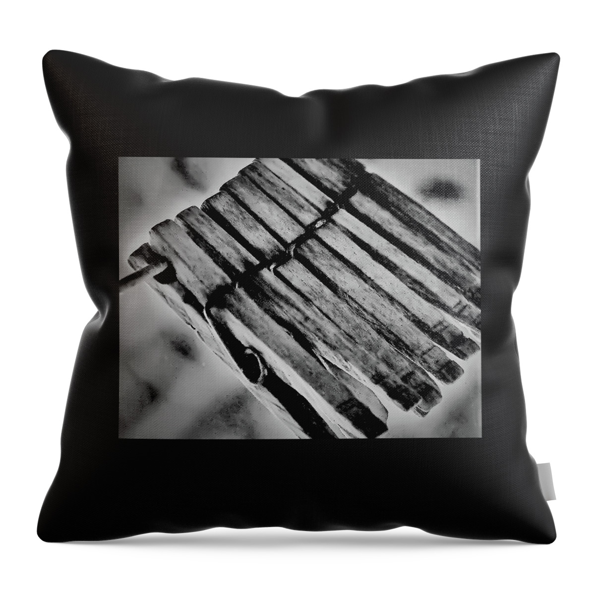 Cloths Pin Wood Close B&w Throw Pillow featuring the photograph Clothes Pin by John Linnemeyer