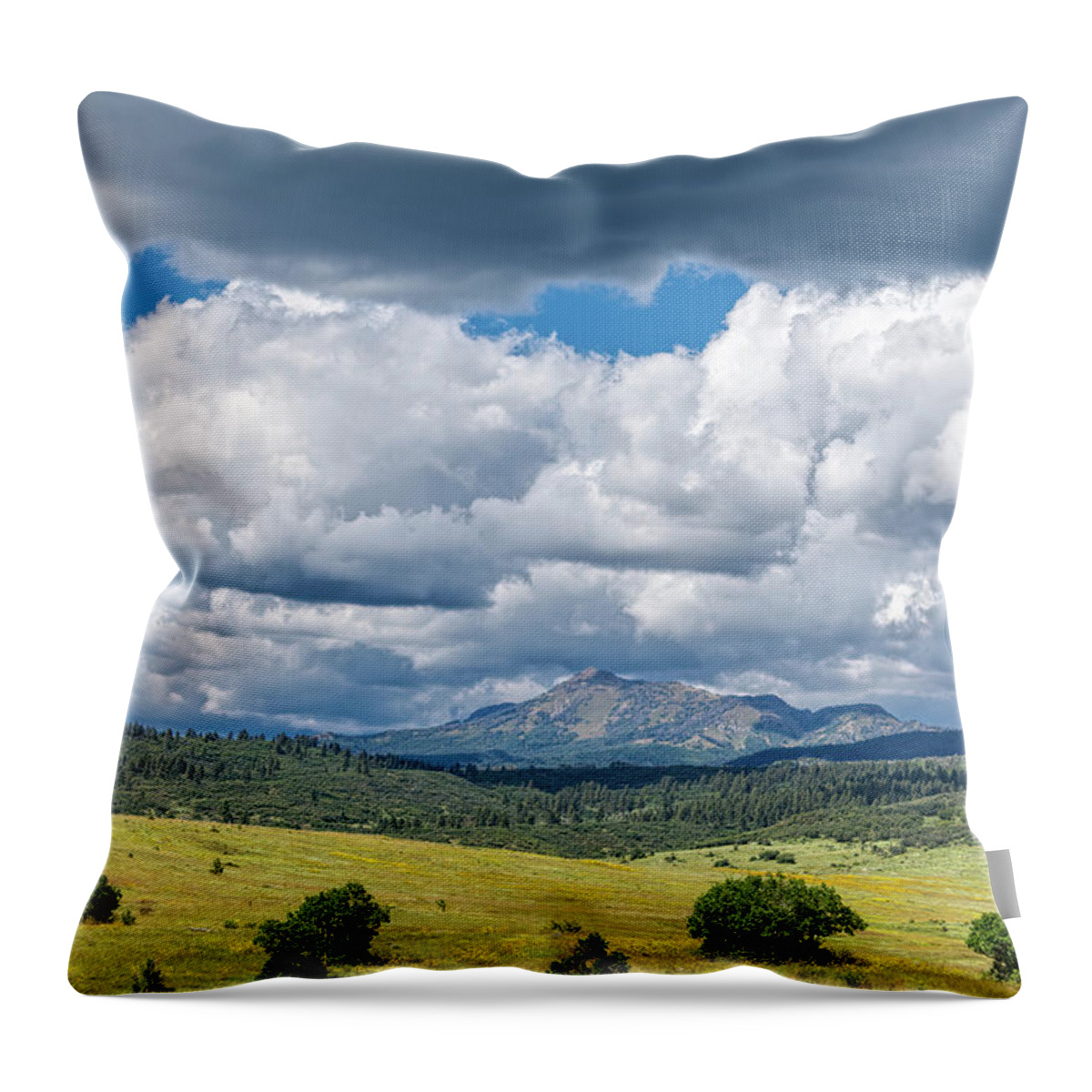 Chama Throw Pillow featuring the photograph Clouds Build Over Landscape of Chama New Mexico by Debra Martz