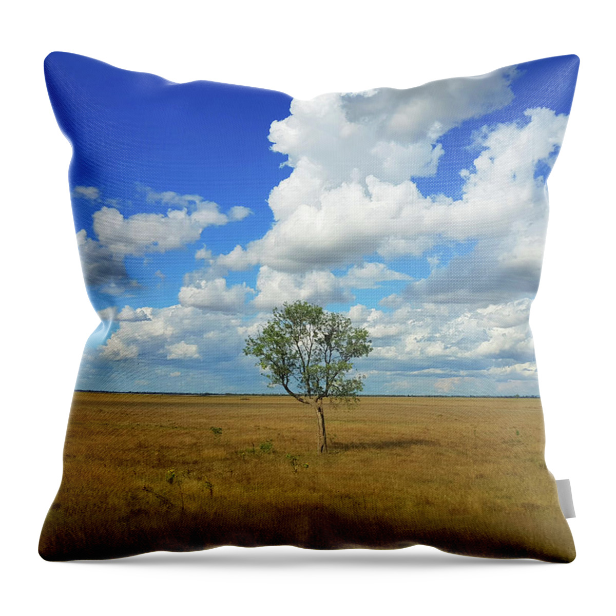 Tree Throw Pillow featuring the photograph Clouds over a Lone Tree by Andre Petrov