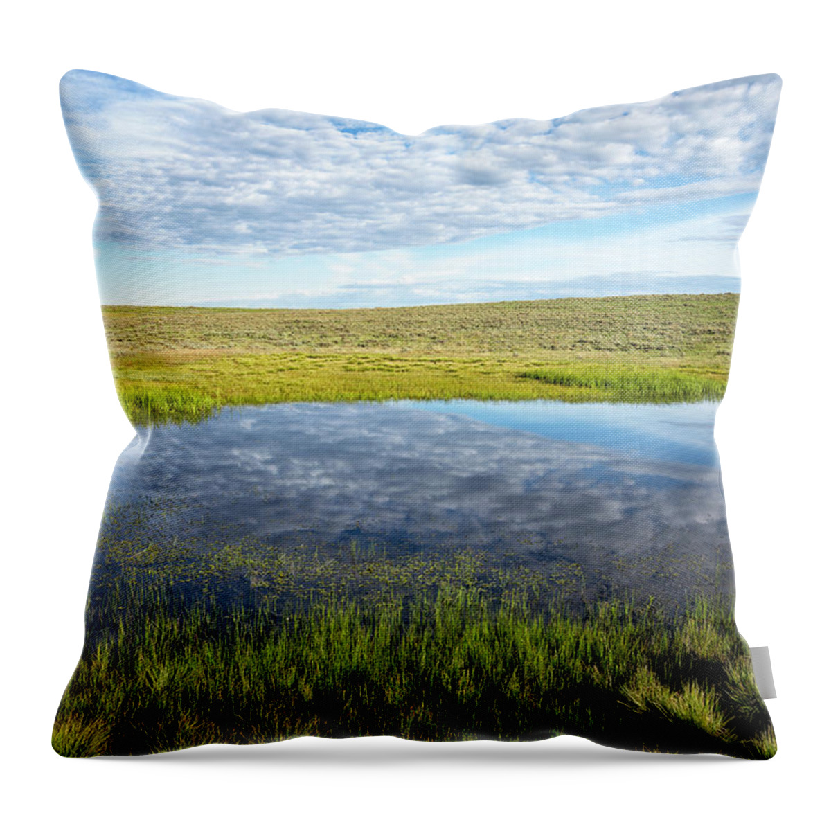 Reflection Throw Pillow featuring the photograph Cloudy Watering Hole by Denise Bush