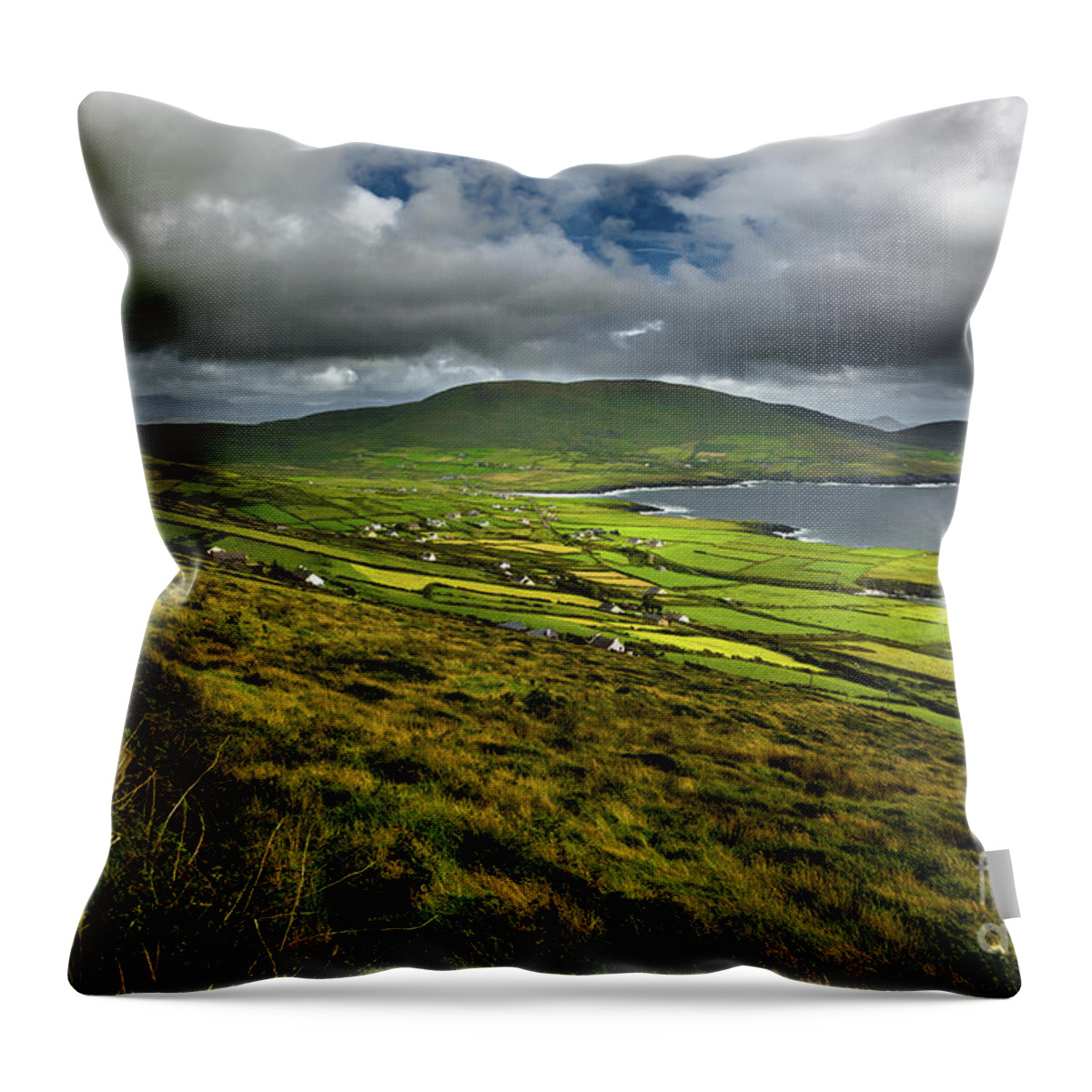 Ireland Throw Pillow featuring the photograph Coastal Landscape of Ireland by Andreas Berthold