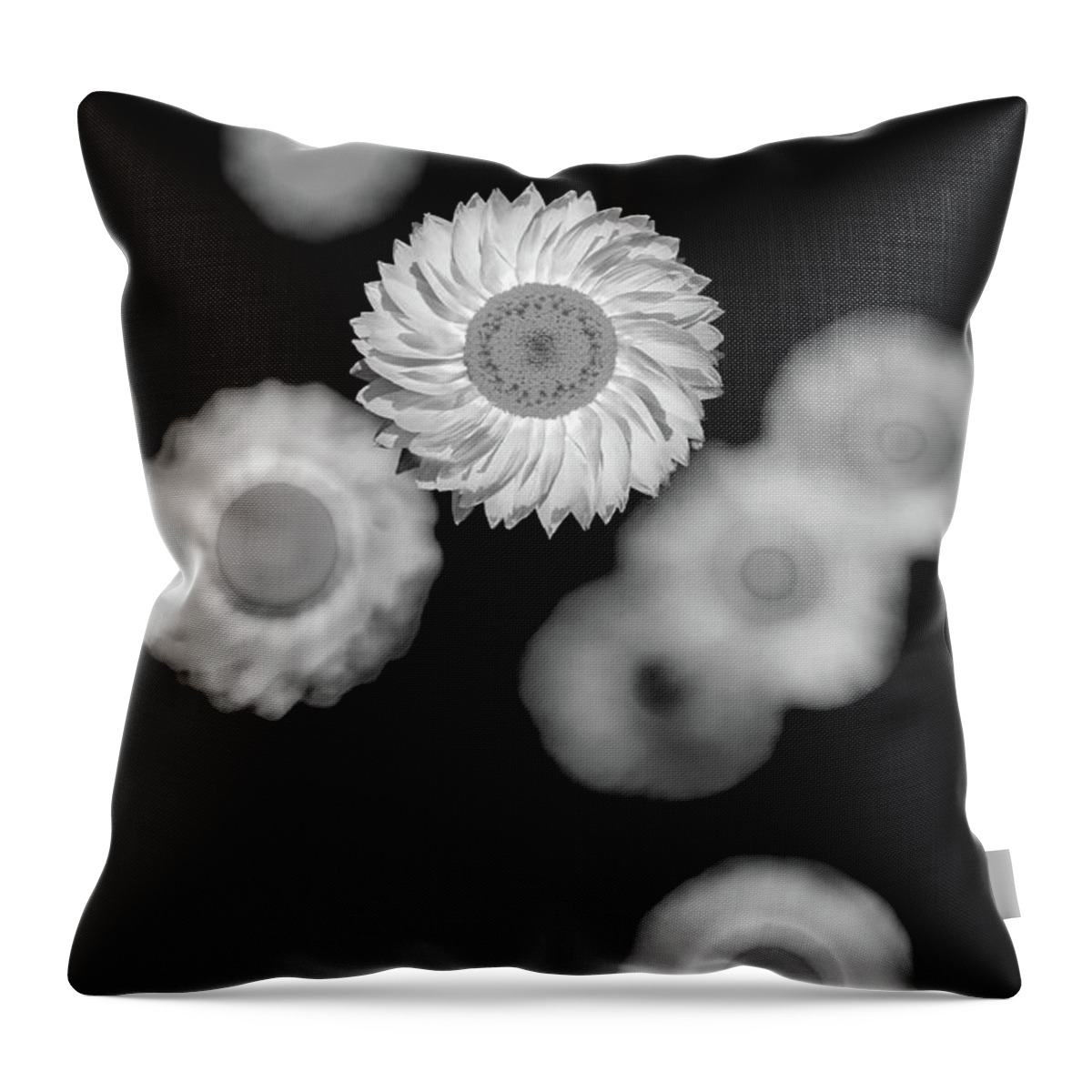 Beautiful Black And White Flower Throw Pillow featuring the photograph Cogs Of Life by Az Jackson