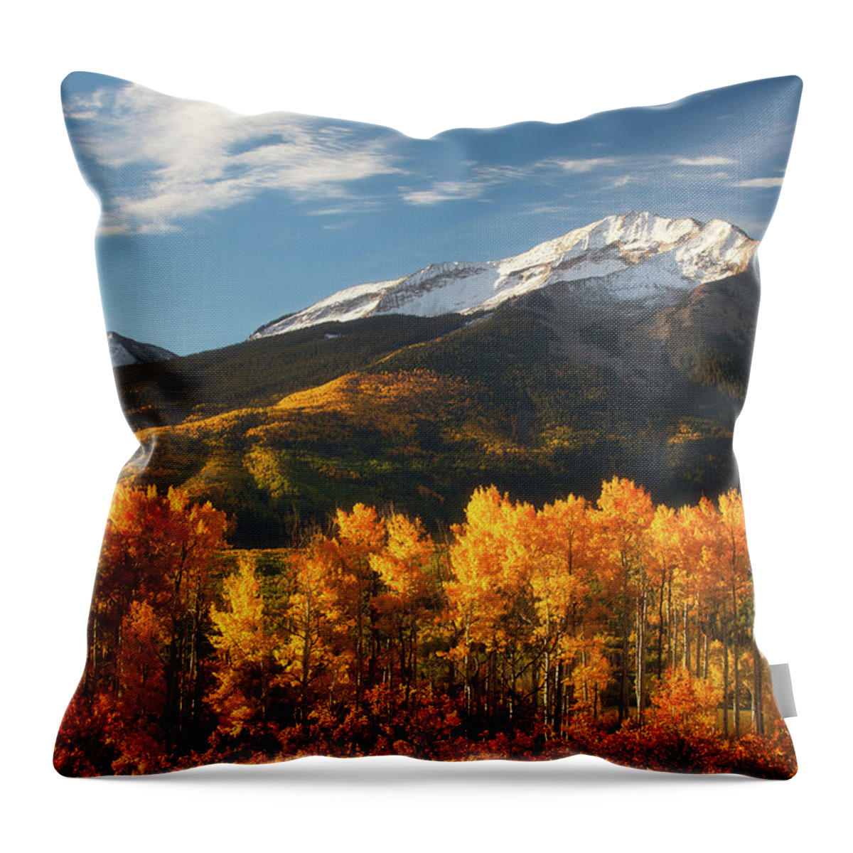 Aspen Throw Pillow featuring the photograph Colorado Gold by Darren White