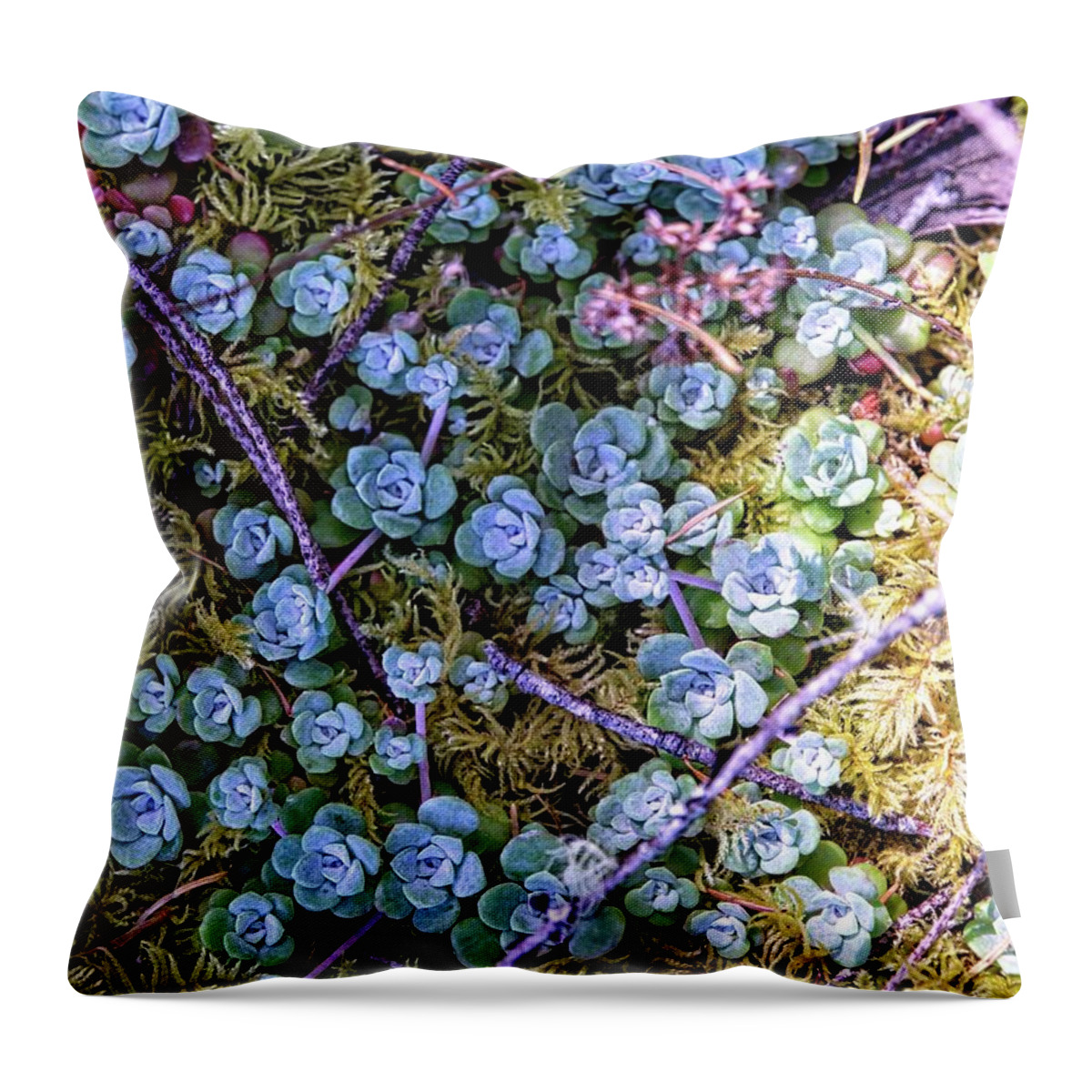 Background Throw Pillow featuring the photograph Colorful Forest Floor by David Desautel