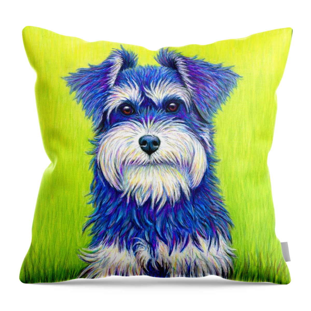 Miniature Schnauzer Throw Pillow featuring the drawing Colorful Miniature Schnauzer Dog by Rebecca Wang
