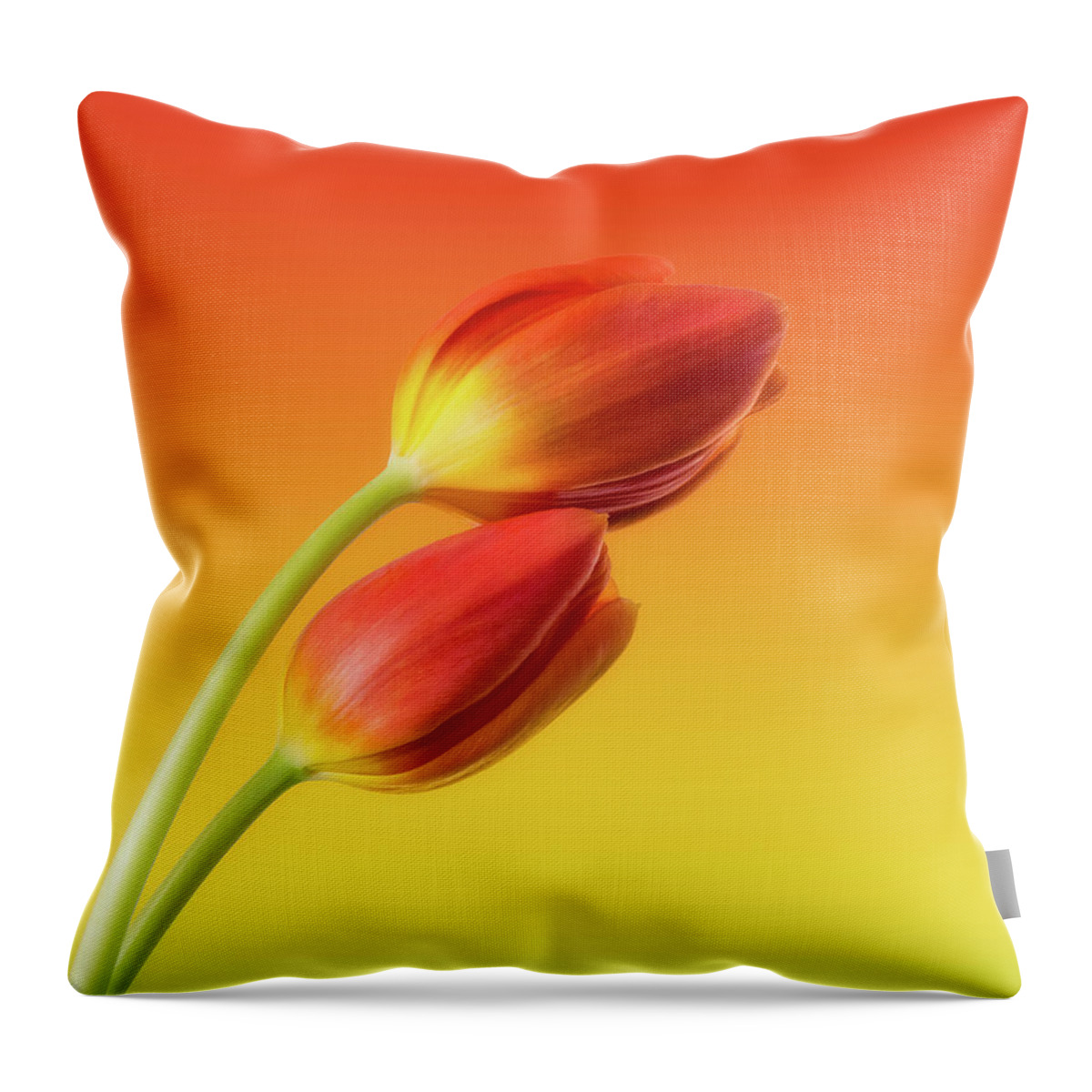 Tulips Throw Pillow featuring the photograph Colorful Tulips by Wim Lanclus