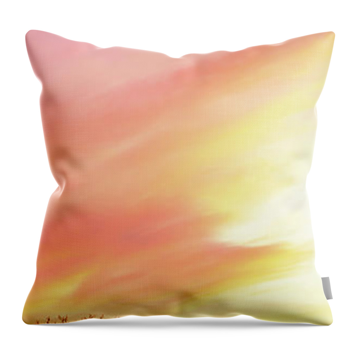 Color Throw Pillow featuring the photograph Colors over the Preserve by Jason Fink