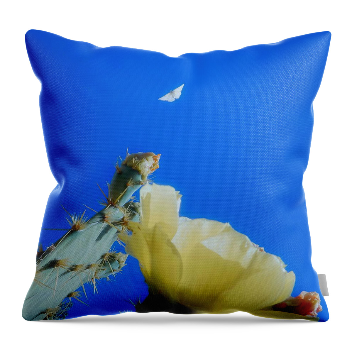 Prickly Pears Throw Pillow featuring the photograph Come Back by Judy Kennedy